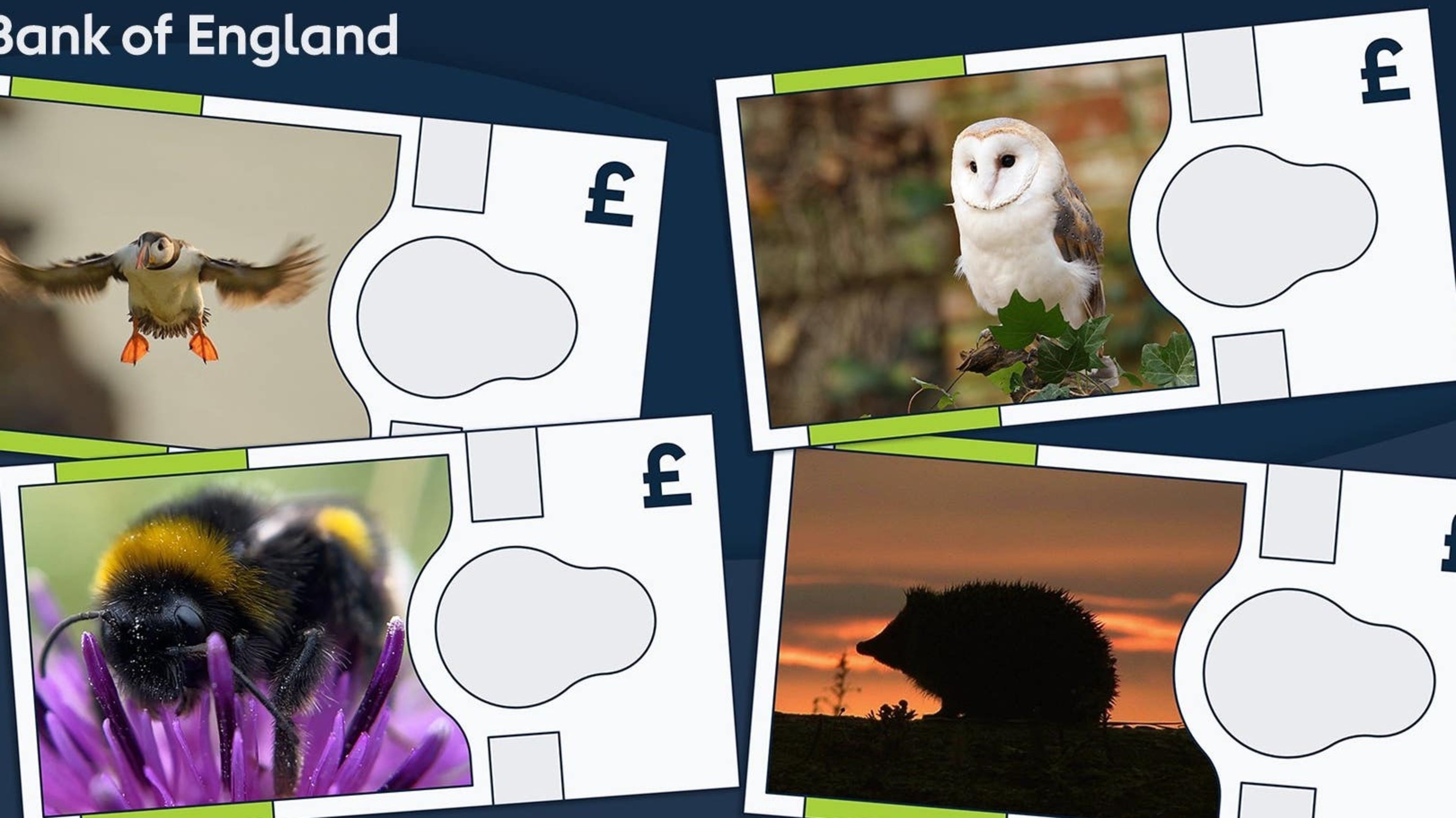 Bank of England unveils animals set to appear on its next banknote series