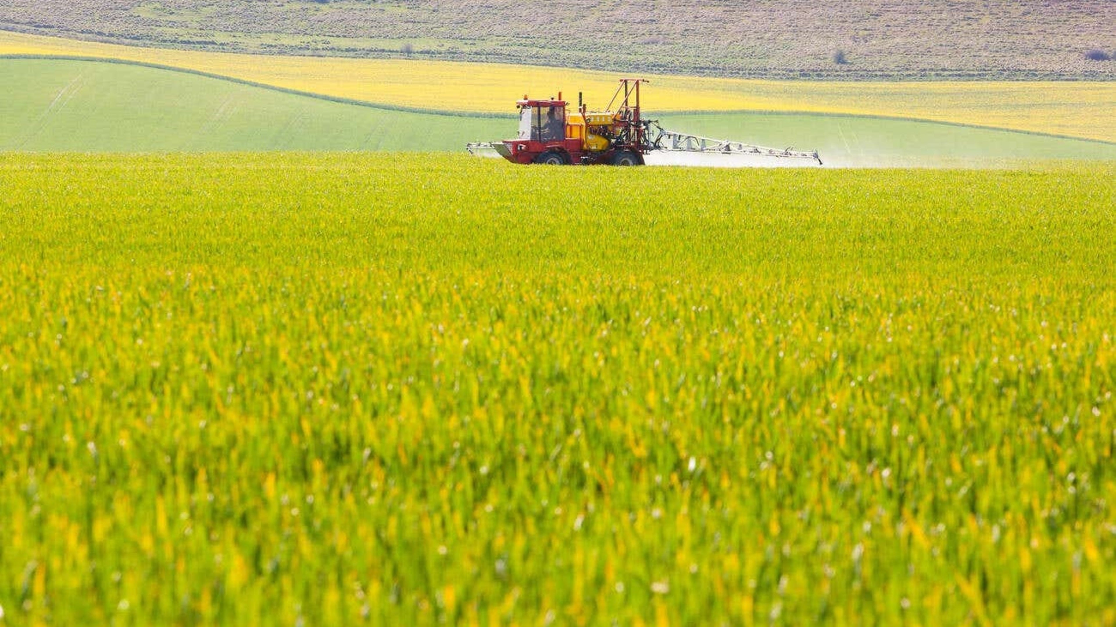 Campaigners call for ban on use of herbicide glyphosate at harvest