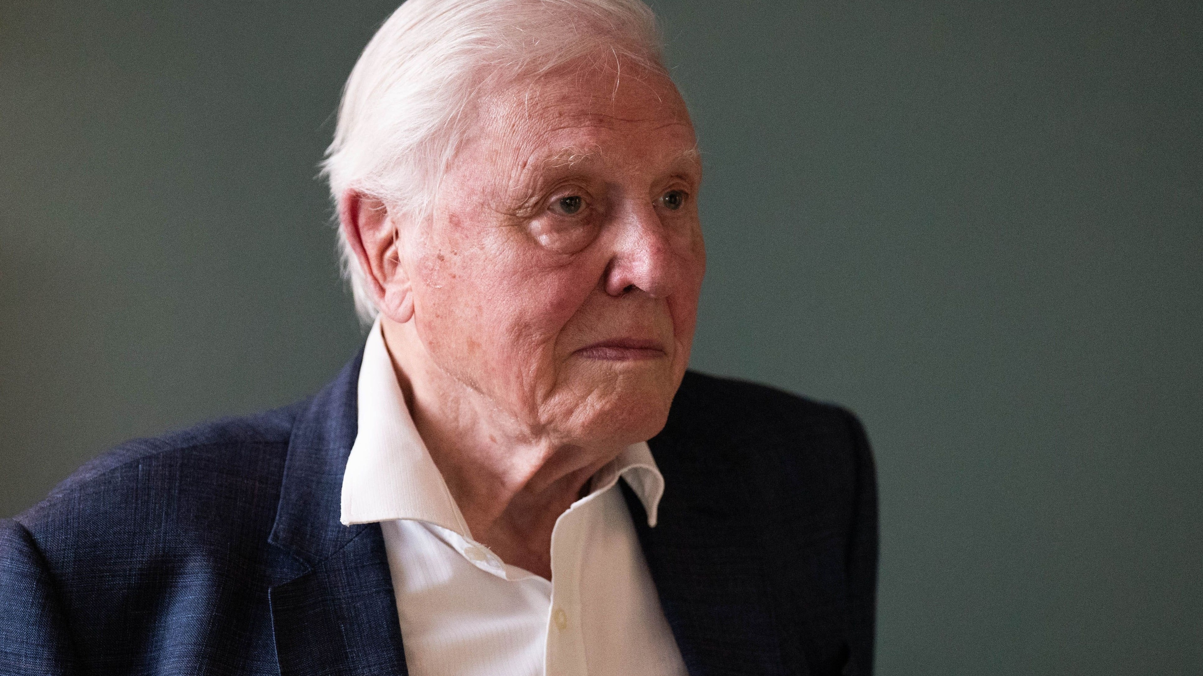 Paddington Bear and Sir David Attenborough among public’s banknote design ideas
