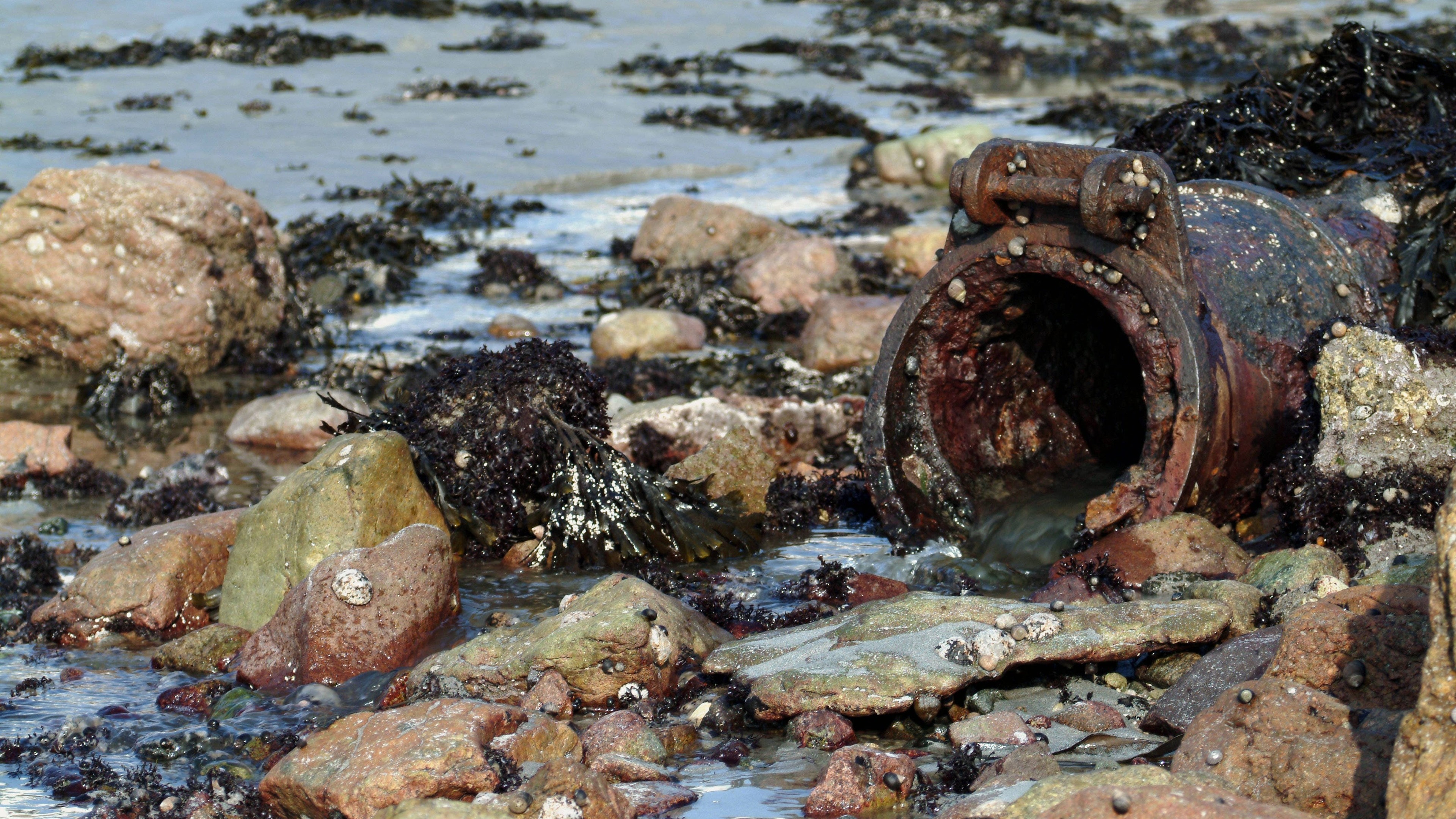 Welsh Water to pay about £44.7m over sewage spill failures after Ofwat redress