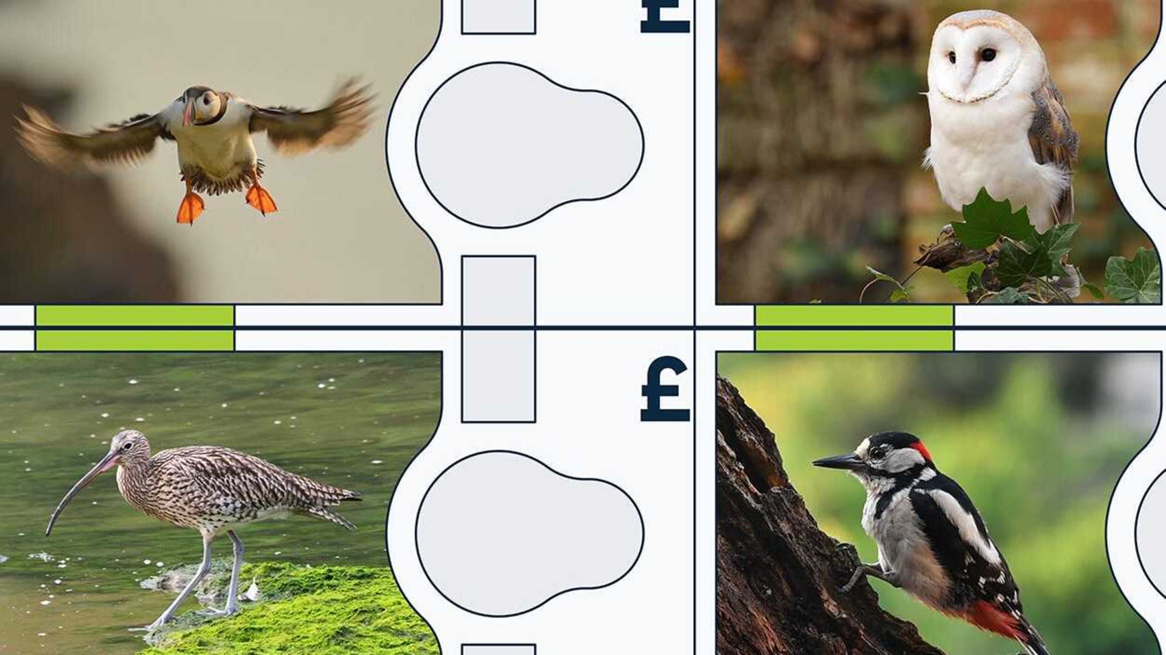 Bank of England reveals which animals could feature on its new-look banknotes