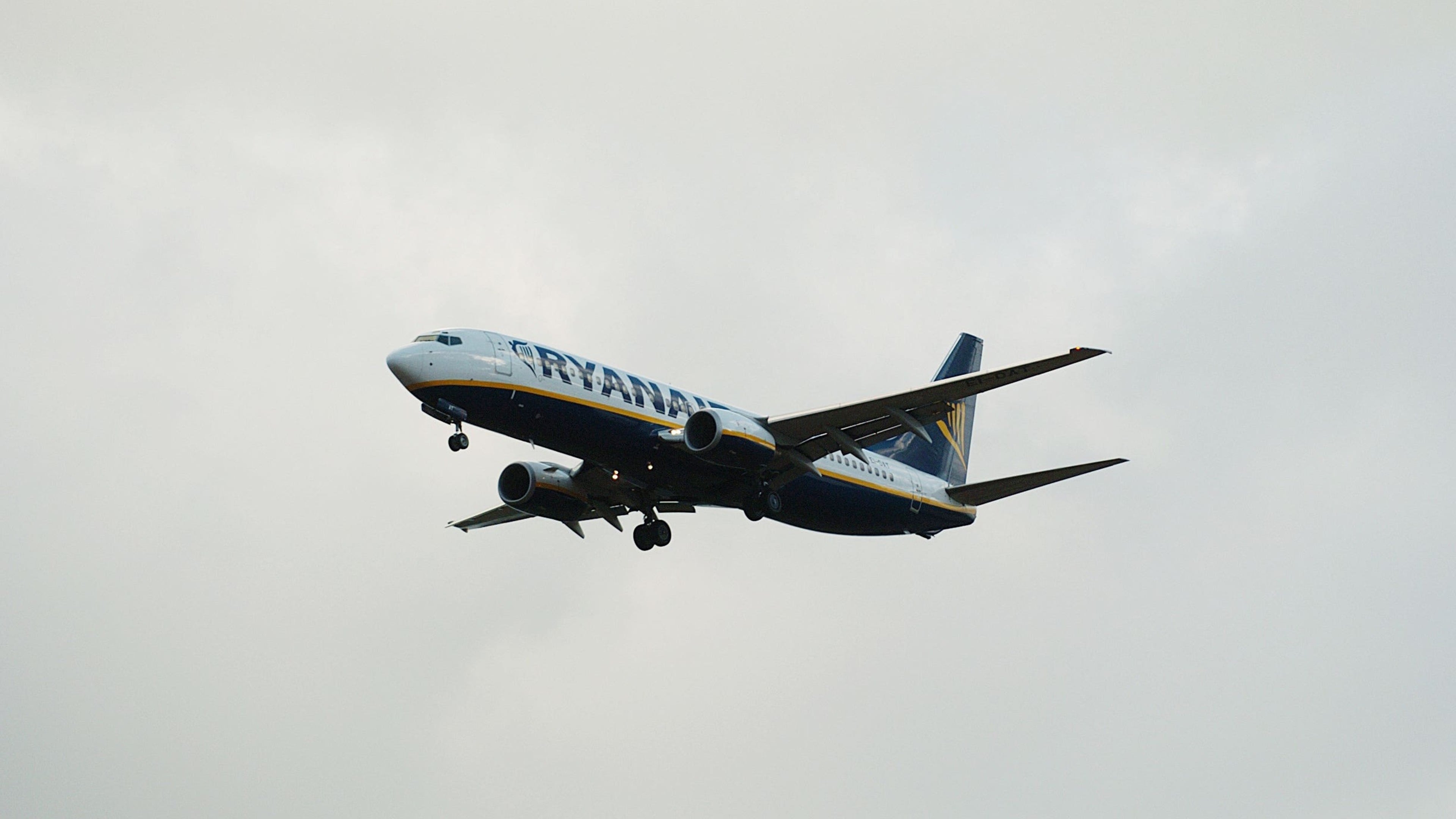 Ryanair boss says airfares will rise next year