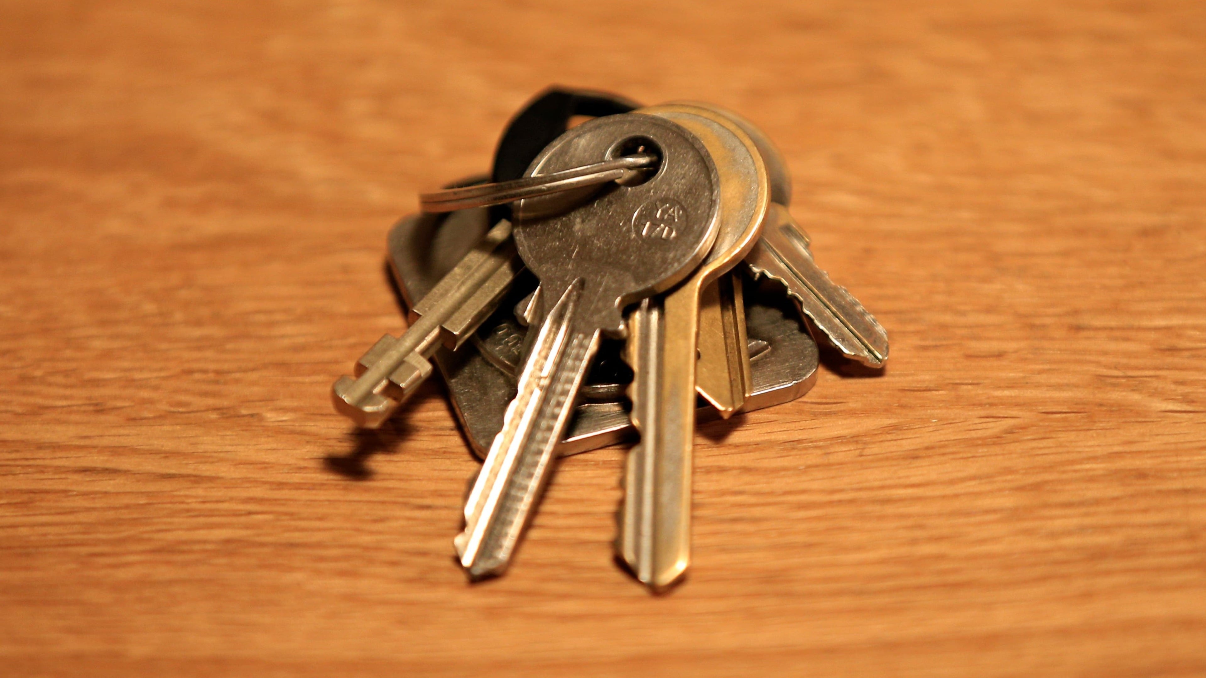 Survey finds empty property next door deters homebuyers by 44%