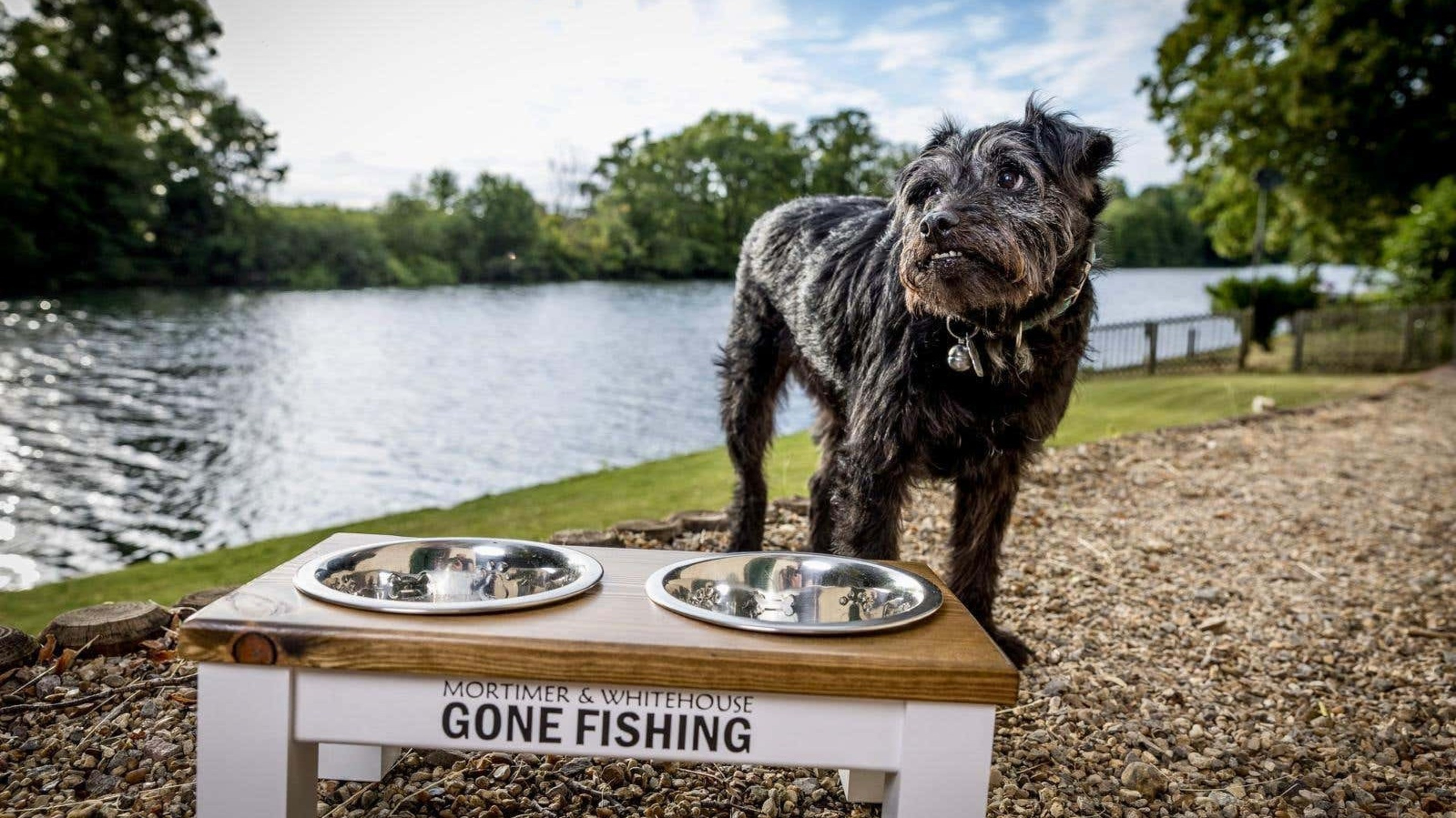 Bob Mortimer ‘very, very sad’ after death of Gone Fishing dog Ted