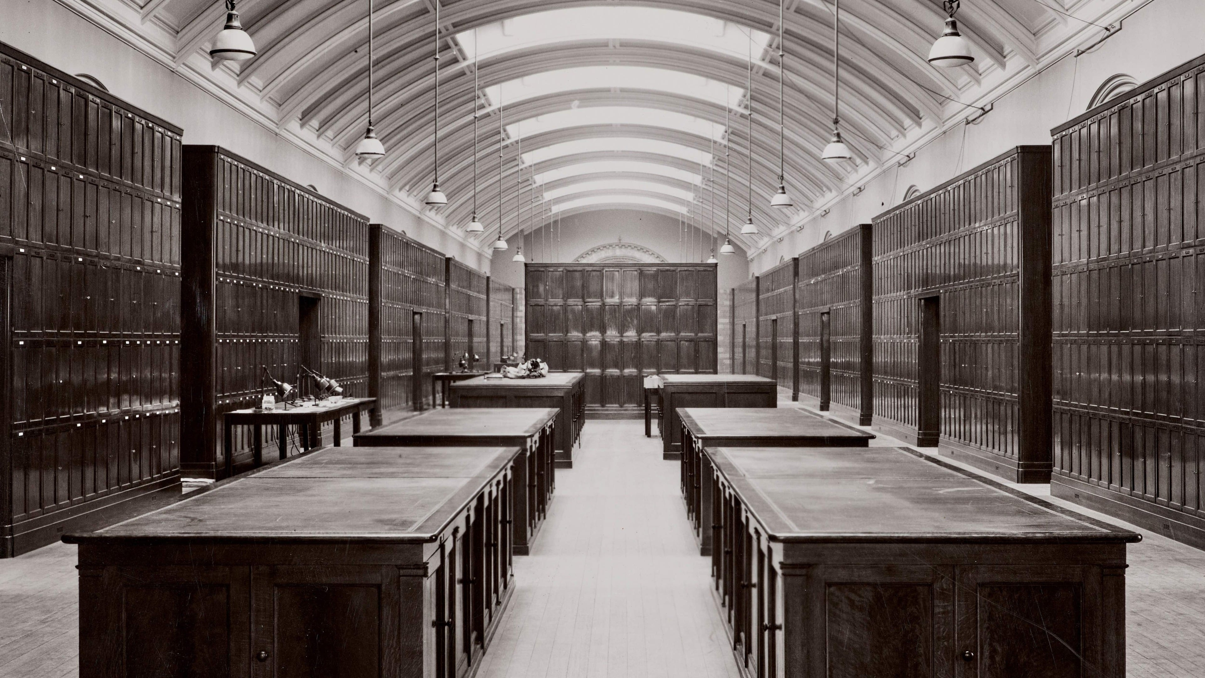 Natural History Museum to reopen “Nature and Us” gallery closed since 1943
