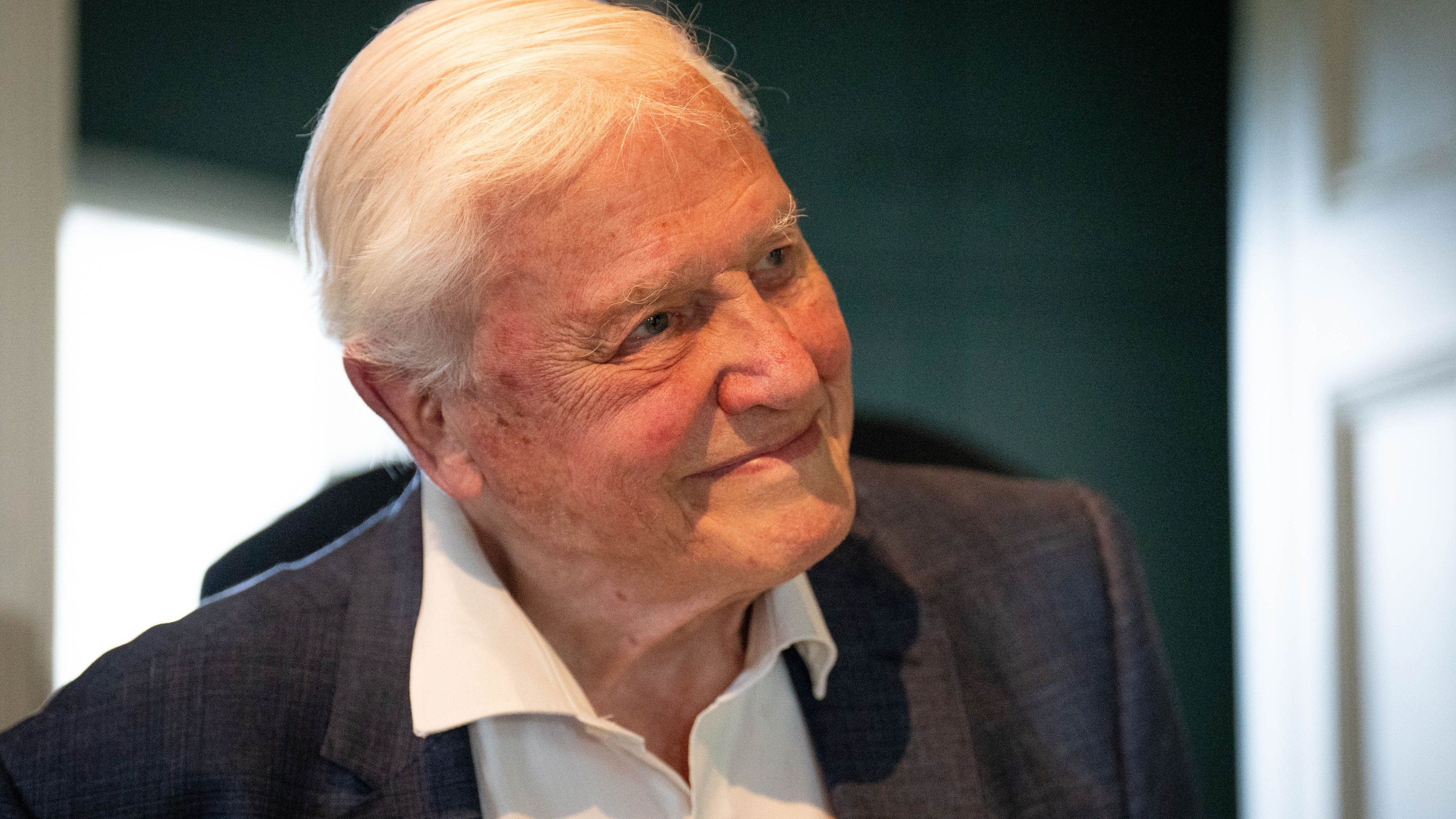 The wise words of Sir David Attenborough: Some of his most memorable quotes