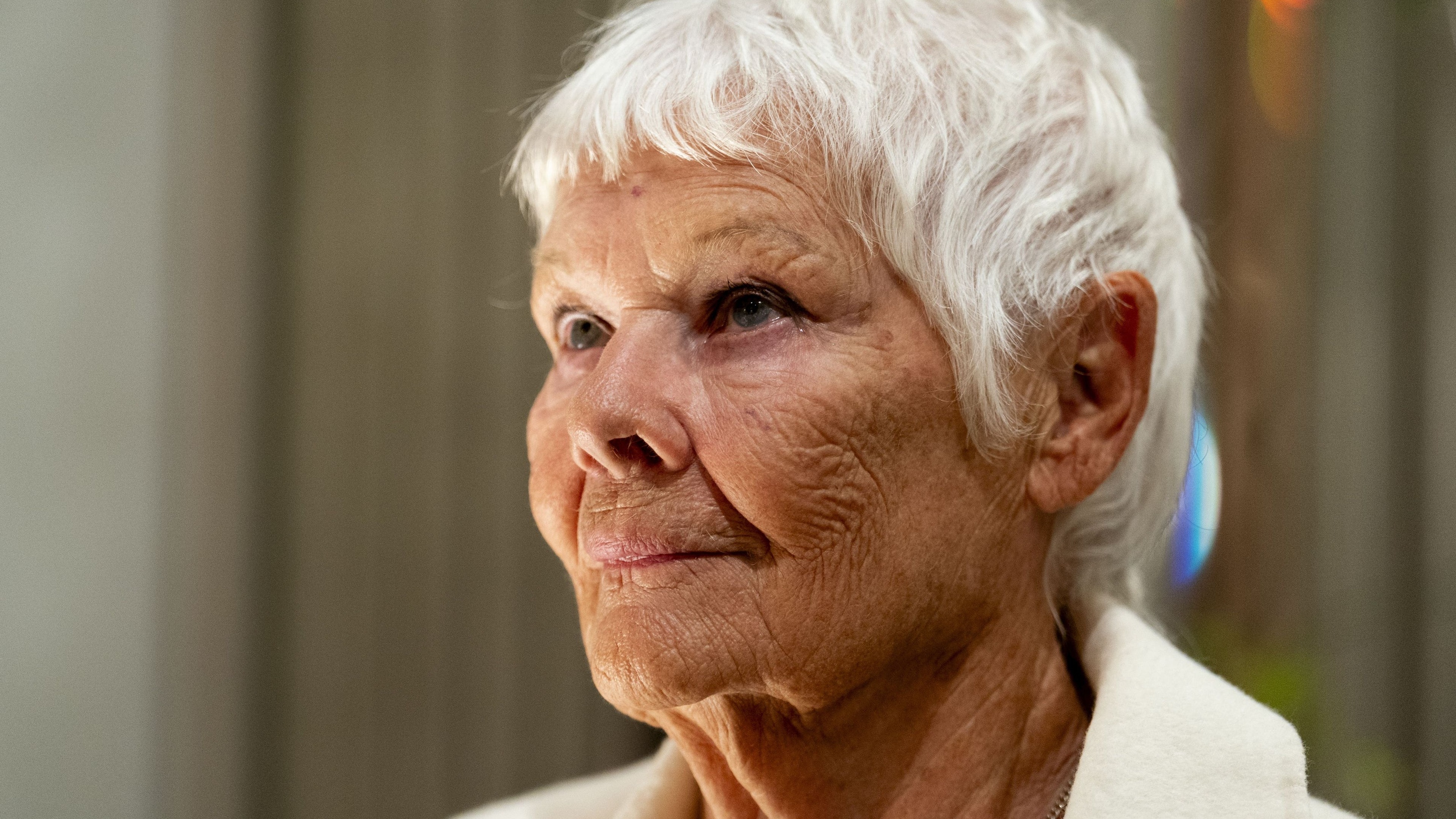 Dame Judi Dench pleads with council to reject bottling plant on woodland