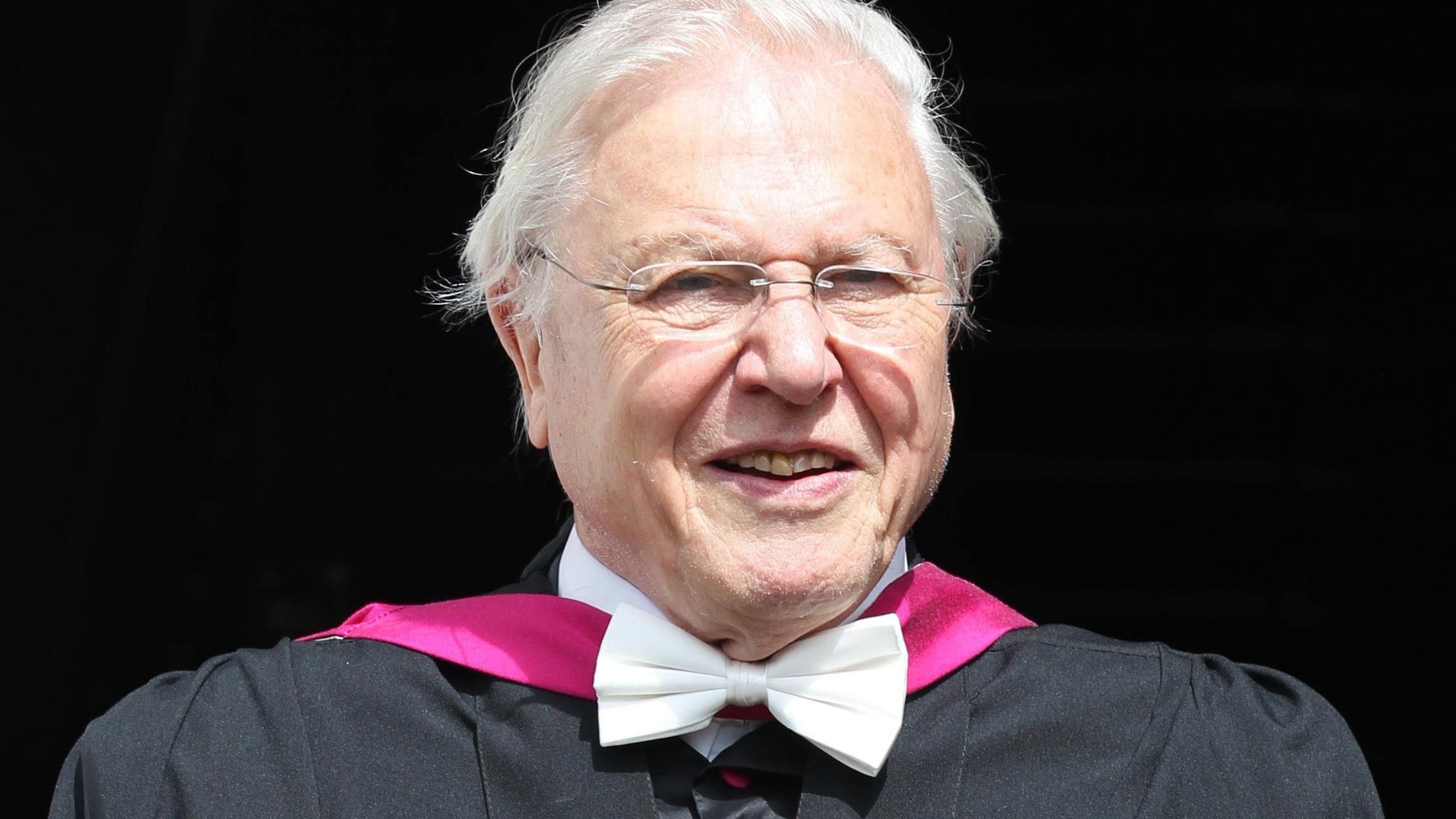 Magic moments: Some of Sir David Attenborough’s memorable career highlights