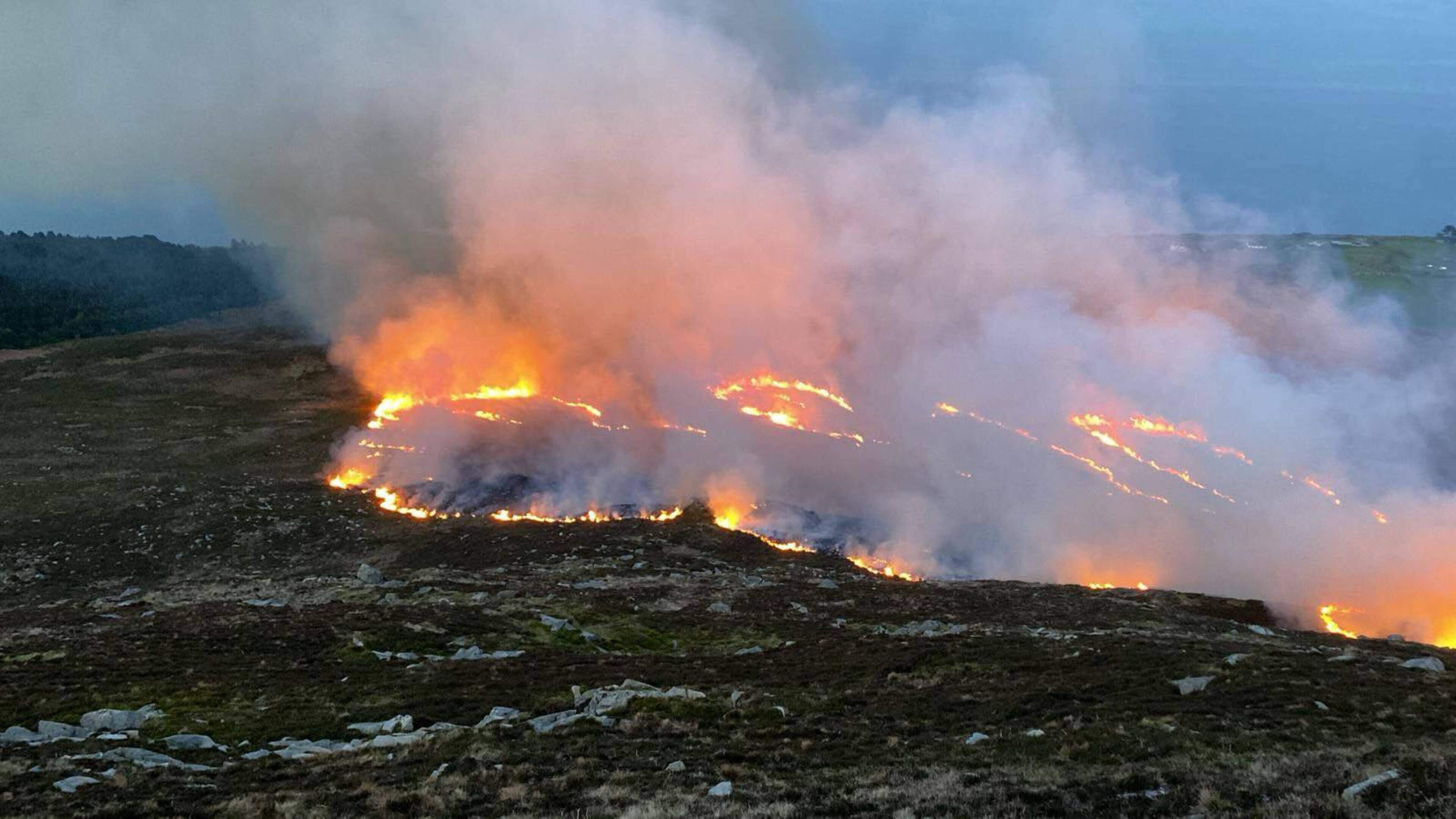 NIFRS crews battling multiple wildfires in the Mourne Mountains as public urged to avoid area