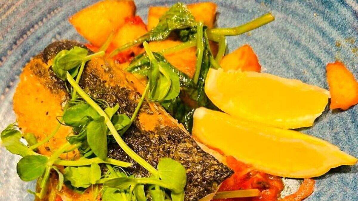 The Maghera Inn, Castlewellan restaurant review: NI gastropub has a ...
