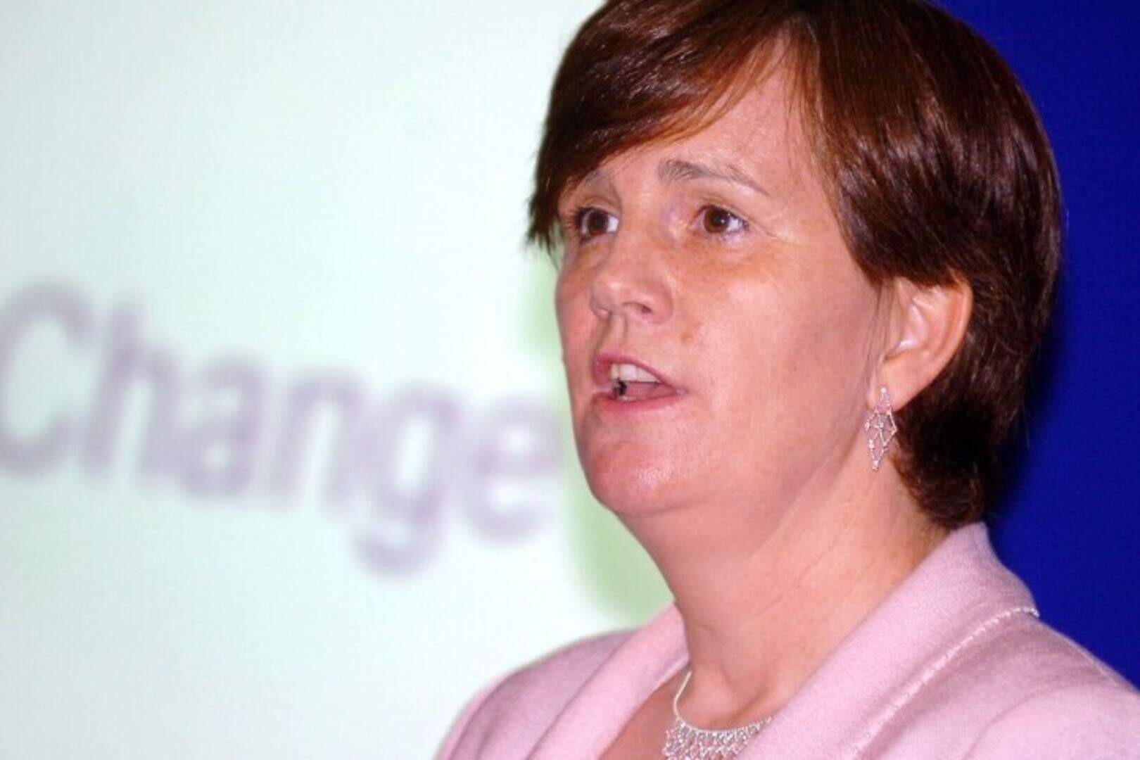Ruane post primary proposals ‘not surprising’, says North Down MLA ...