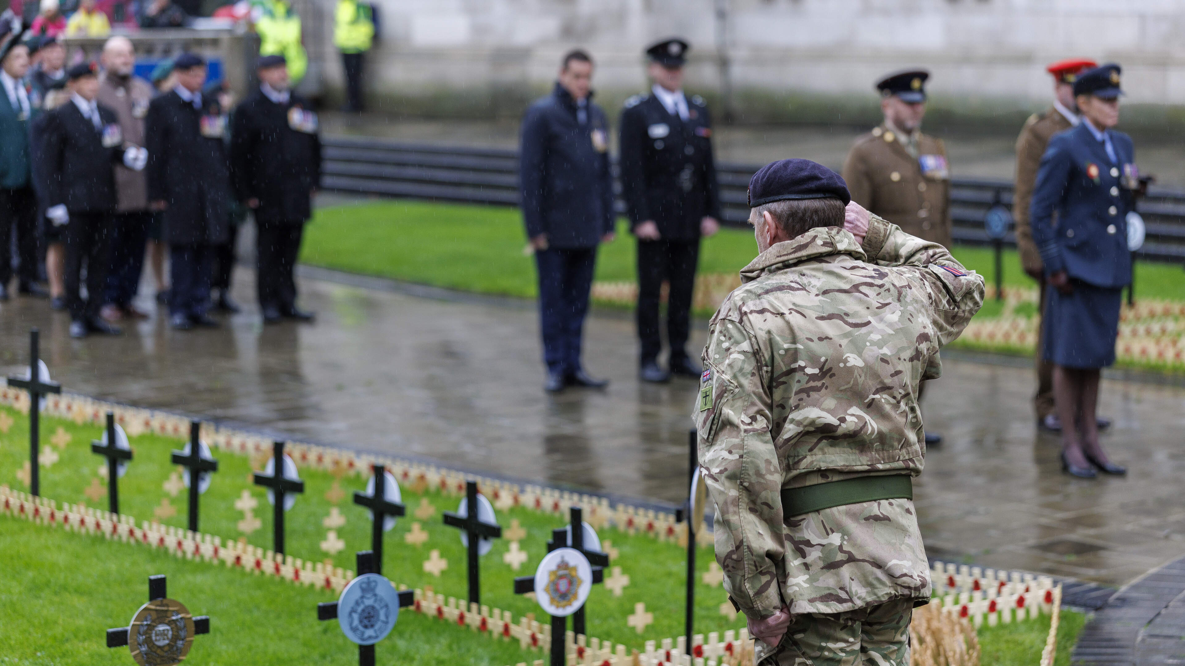 Field of Remembrance opens at Belfast City Hall