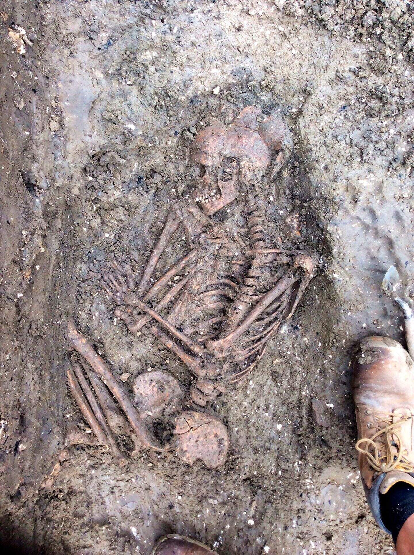 Bronze Age skeleton unearthed in Wiltshire | Belfast Telegraph