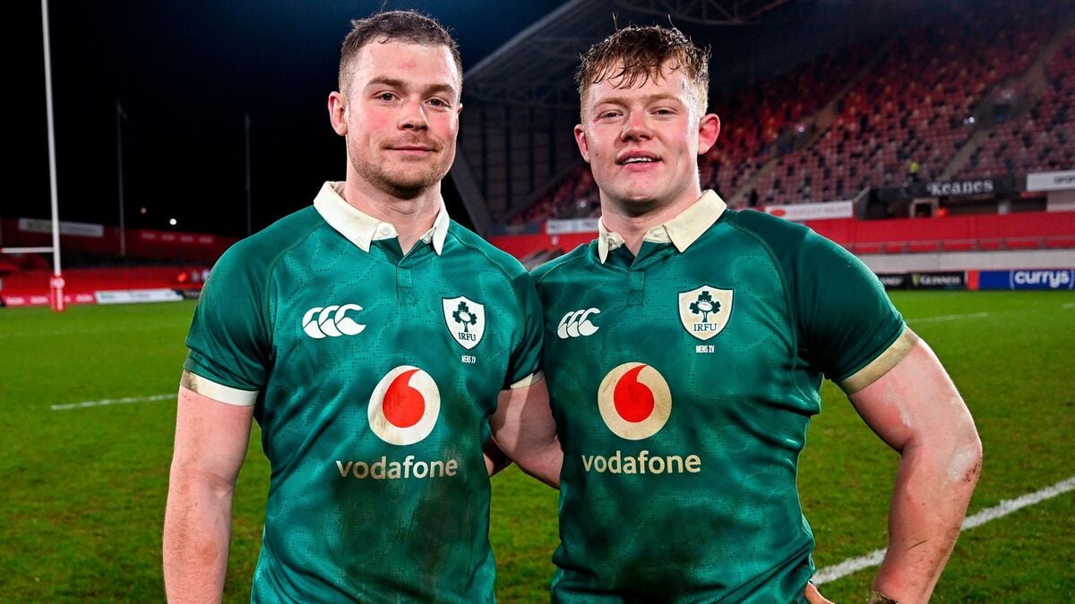 Ulster’s representation in Ireland squad hits double figures as Ward brothers handed late call-ups to squad for summer tour
