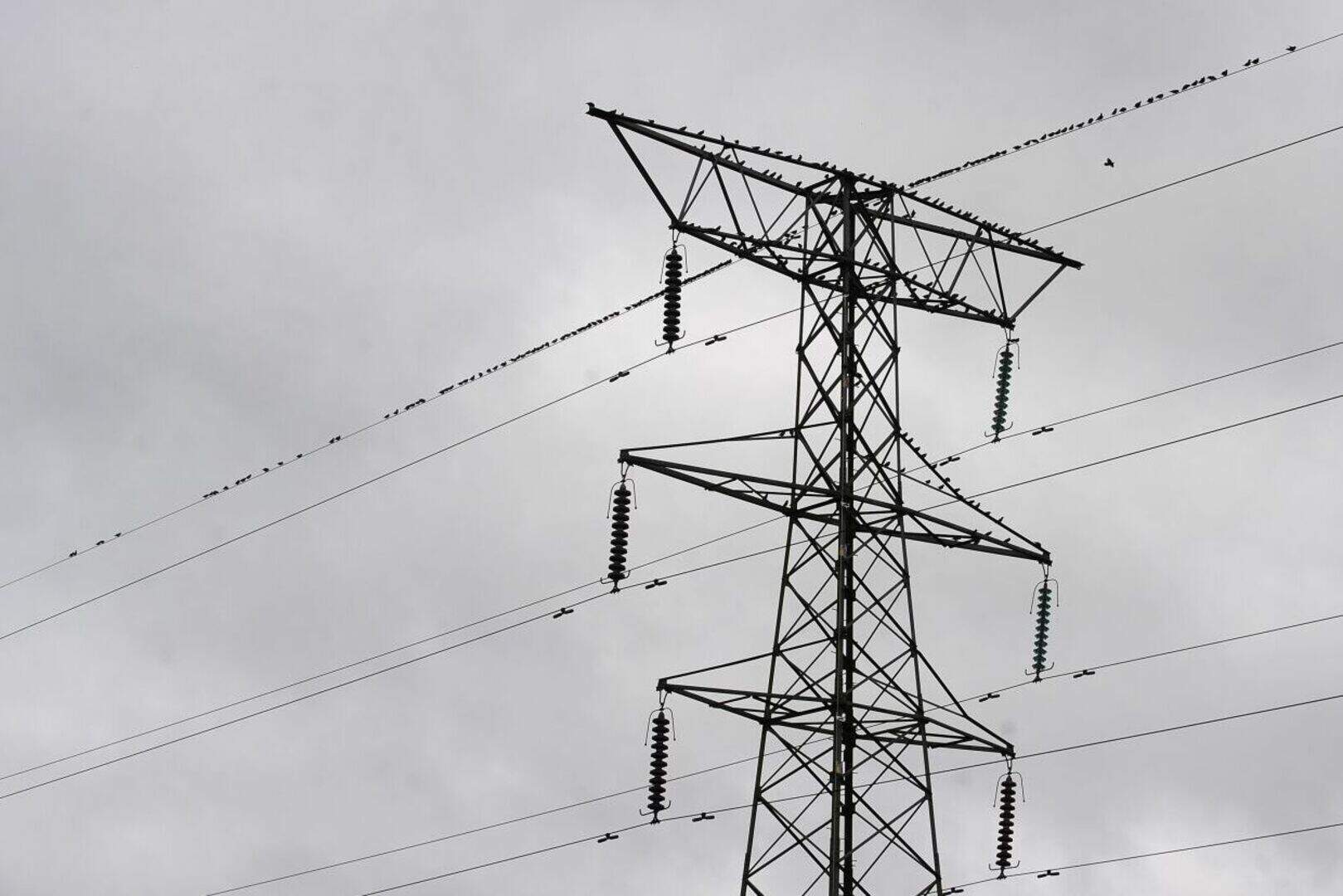 MPs warn of soaring bills unless work begins on cross-border ...