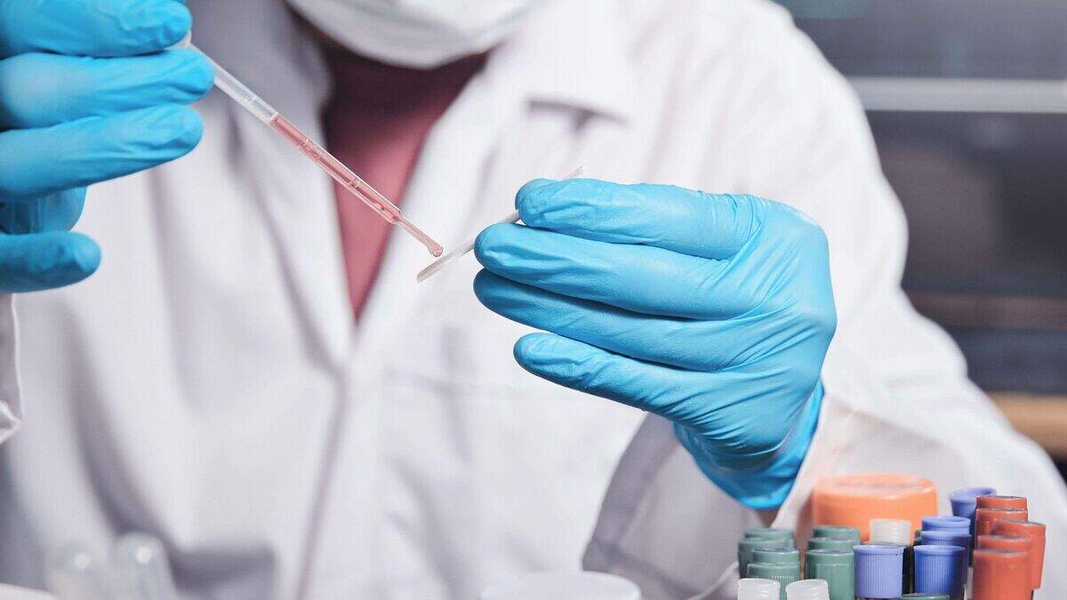 Cancer: Scientists aim to double survival within a decade | Belfast ...