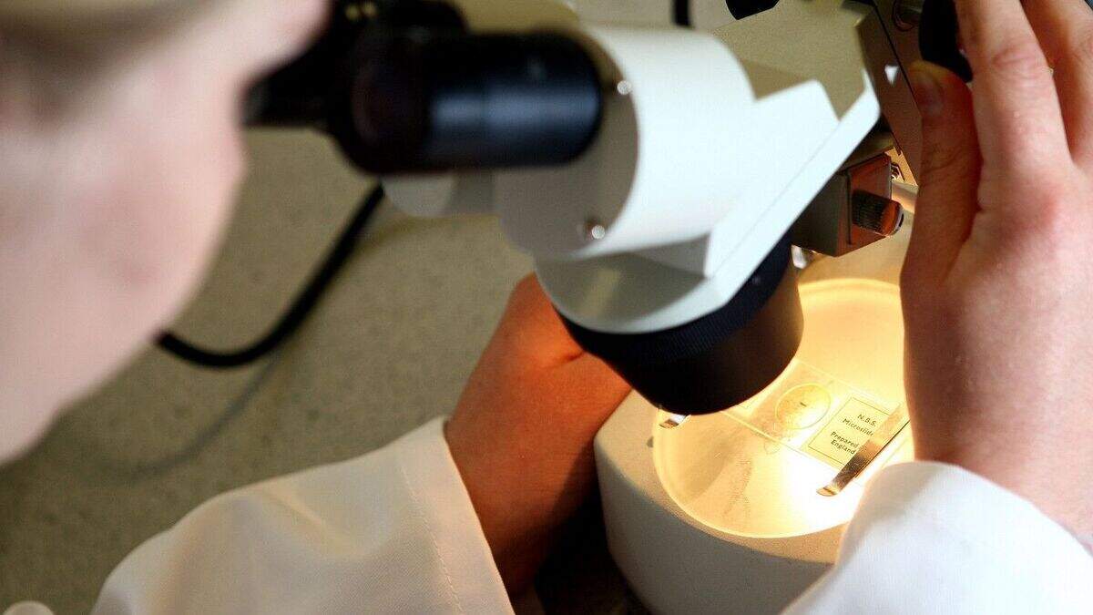 Salt injection 'kills cancer cells' | Belfast Telegraph