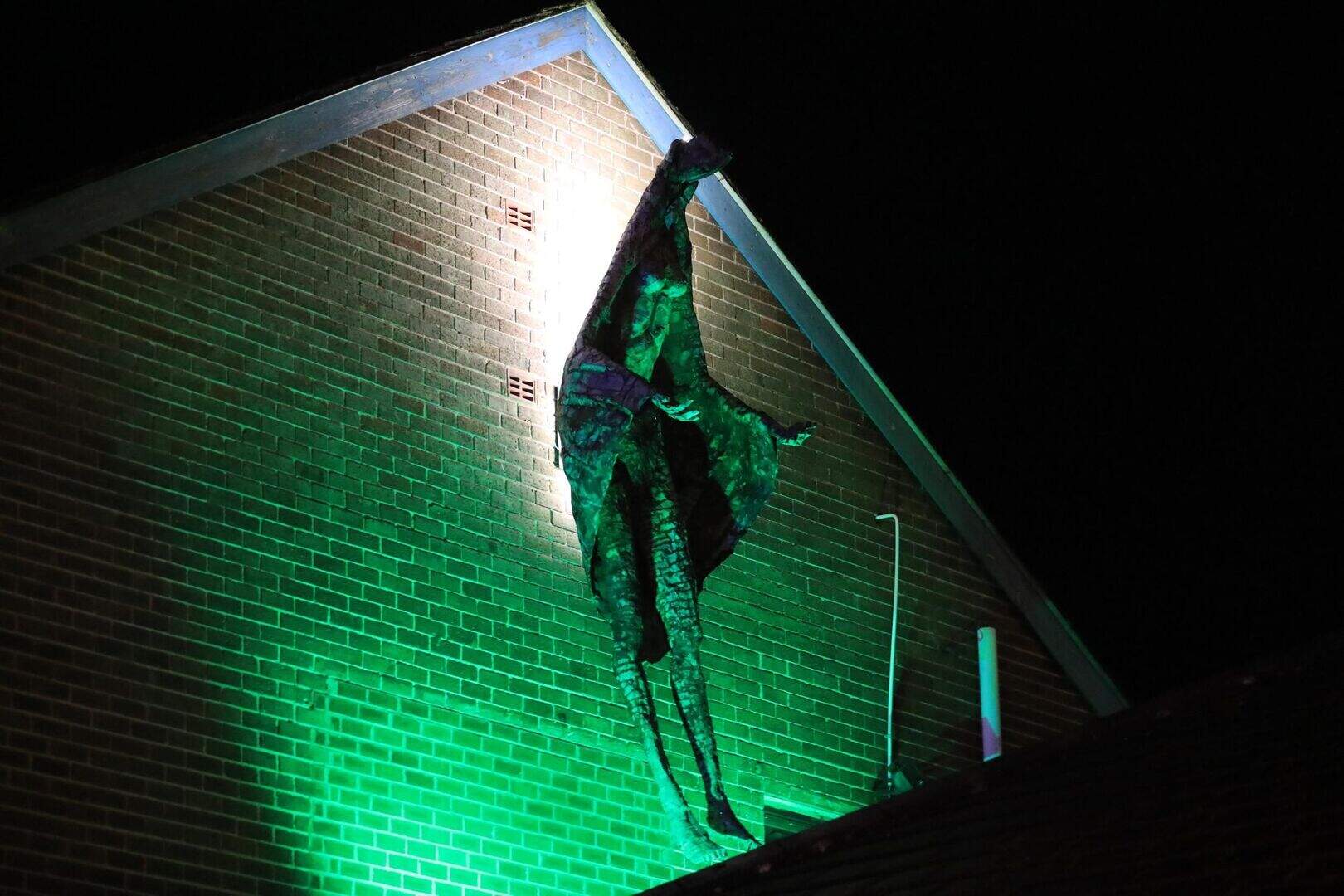 The lady vanishes … long lost statue is back to ‘terrorise’ Rathcoole ...