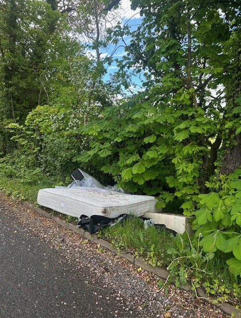 ‘Nothing short of environmental vandalism’: Councillors hit out at fly-tippers in rural Co Down