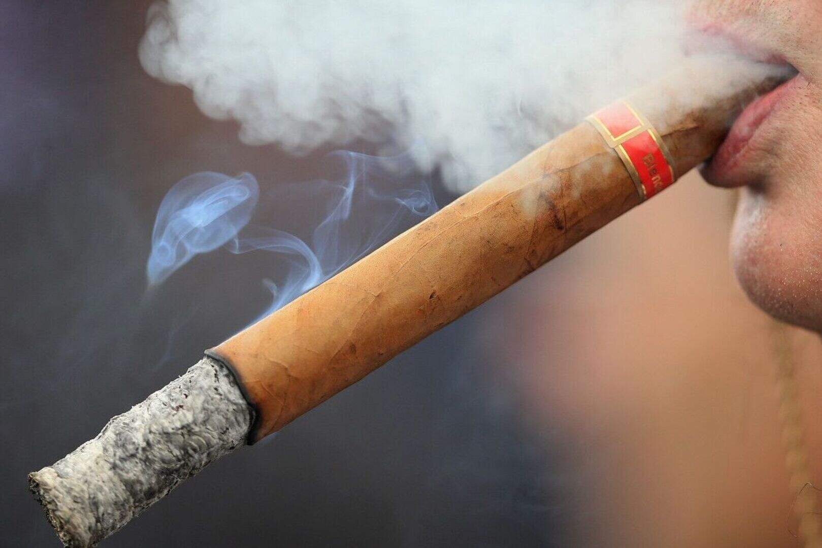 Cigar risks 'equal to cigarettes'
