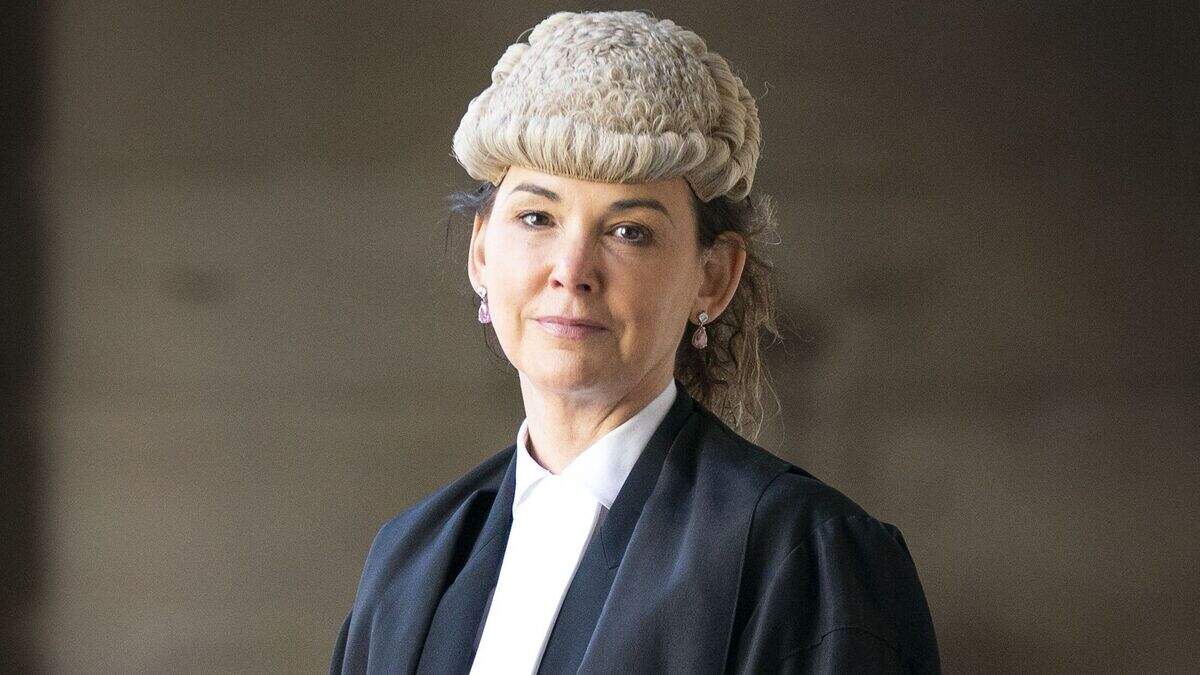 I will give review into my role ‘appropriate assistance’, says new Lord ...