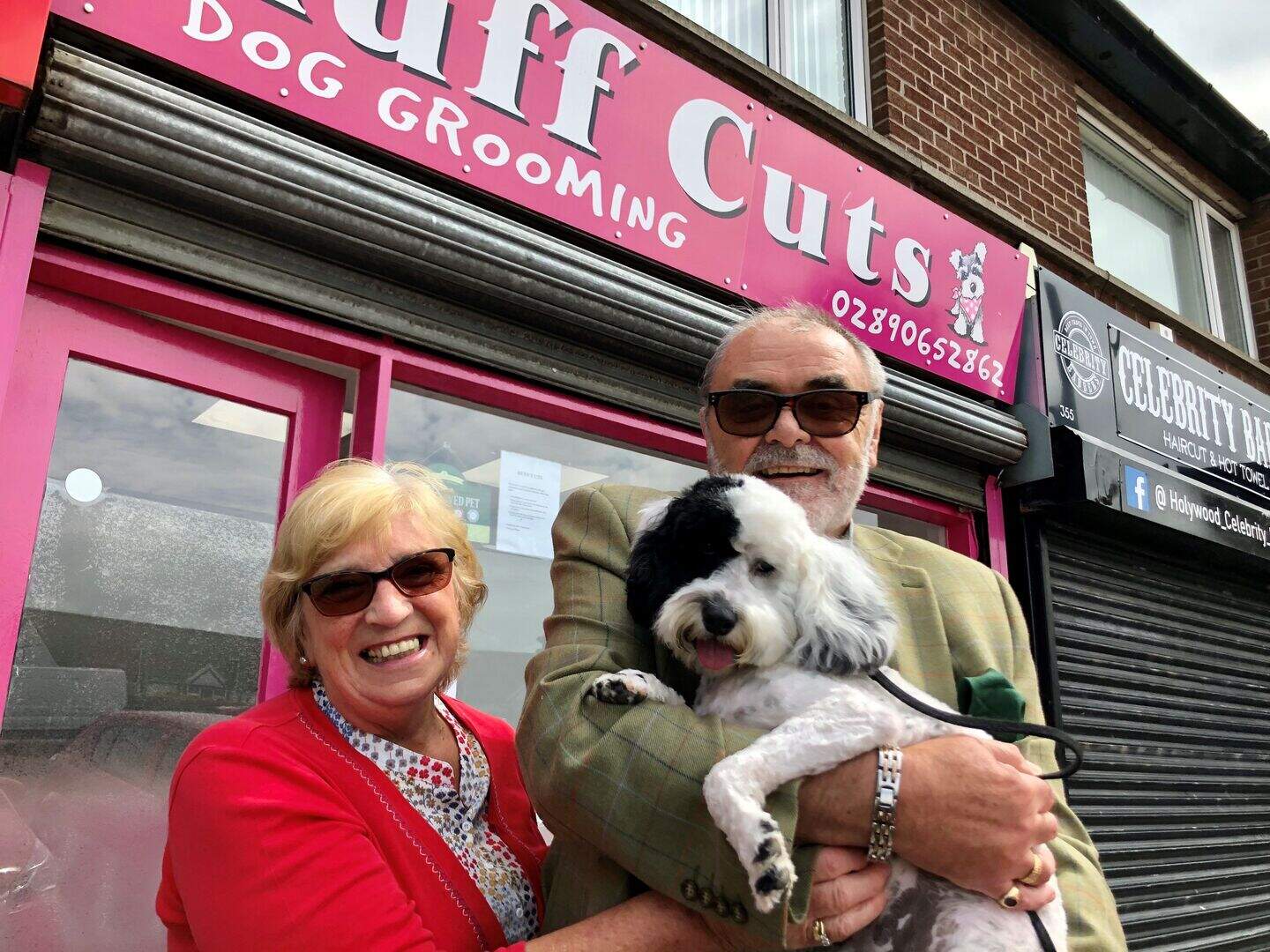Dogs shorn of lockdown locks as groomers resume business | Belfast ...
