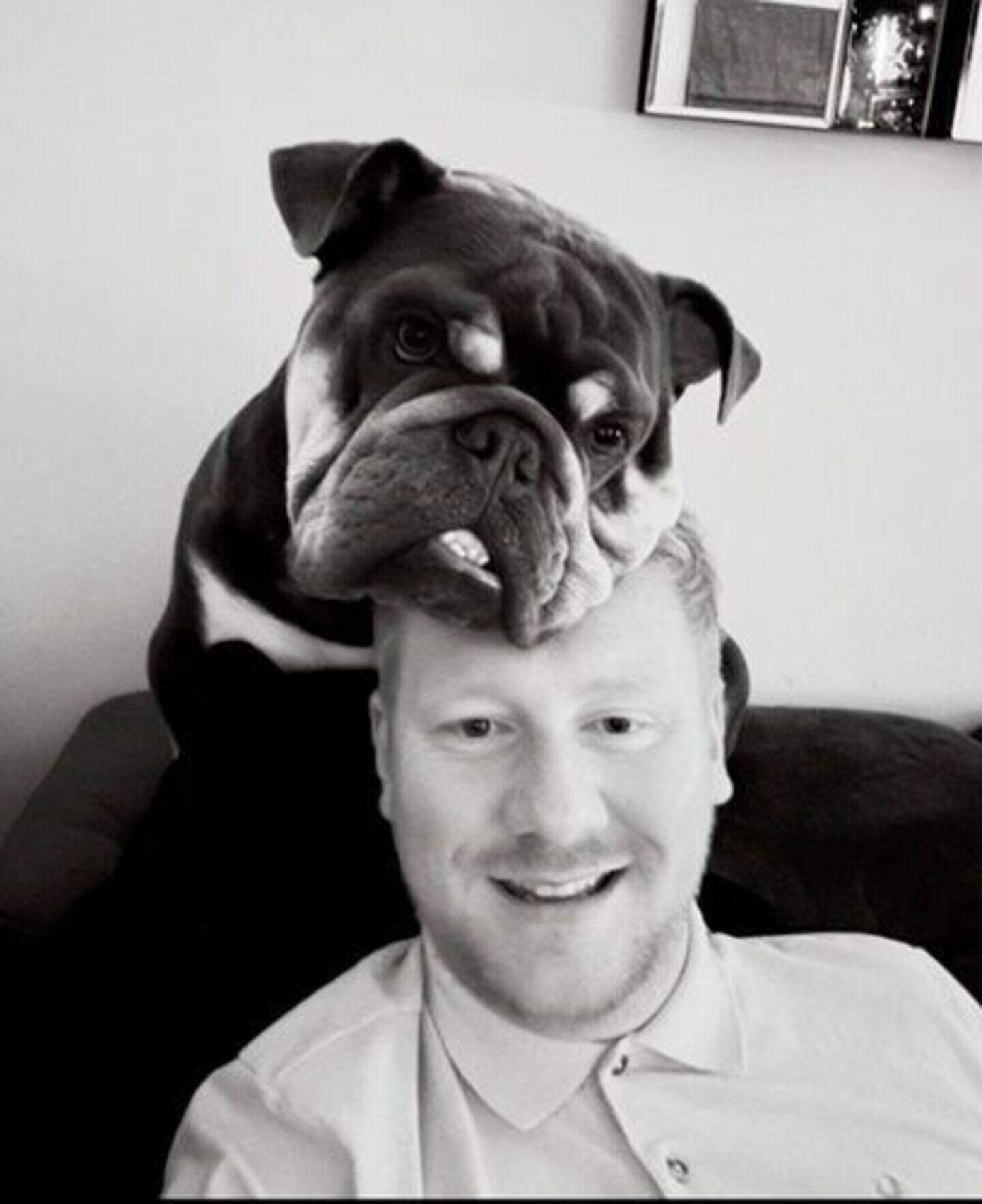 MLAs and their pooches... but who will lead the way as Stormont’s top ...