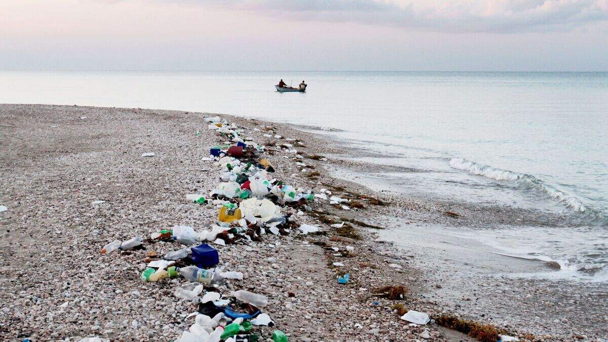 Government announces £61 million package to tackle marine litter ...
