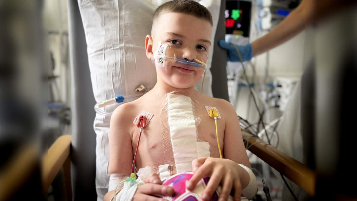 ‘Love and best wishes’: Newcastle legend Alan Shearer sends support to Dáithí after heart transplant