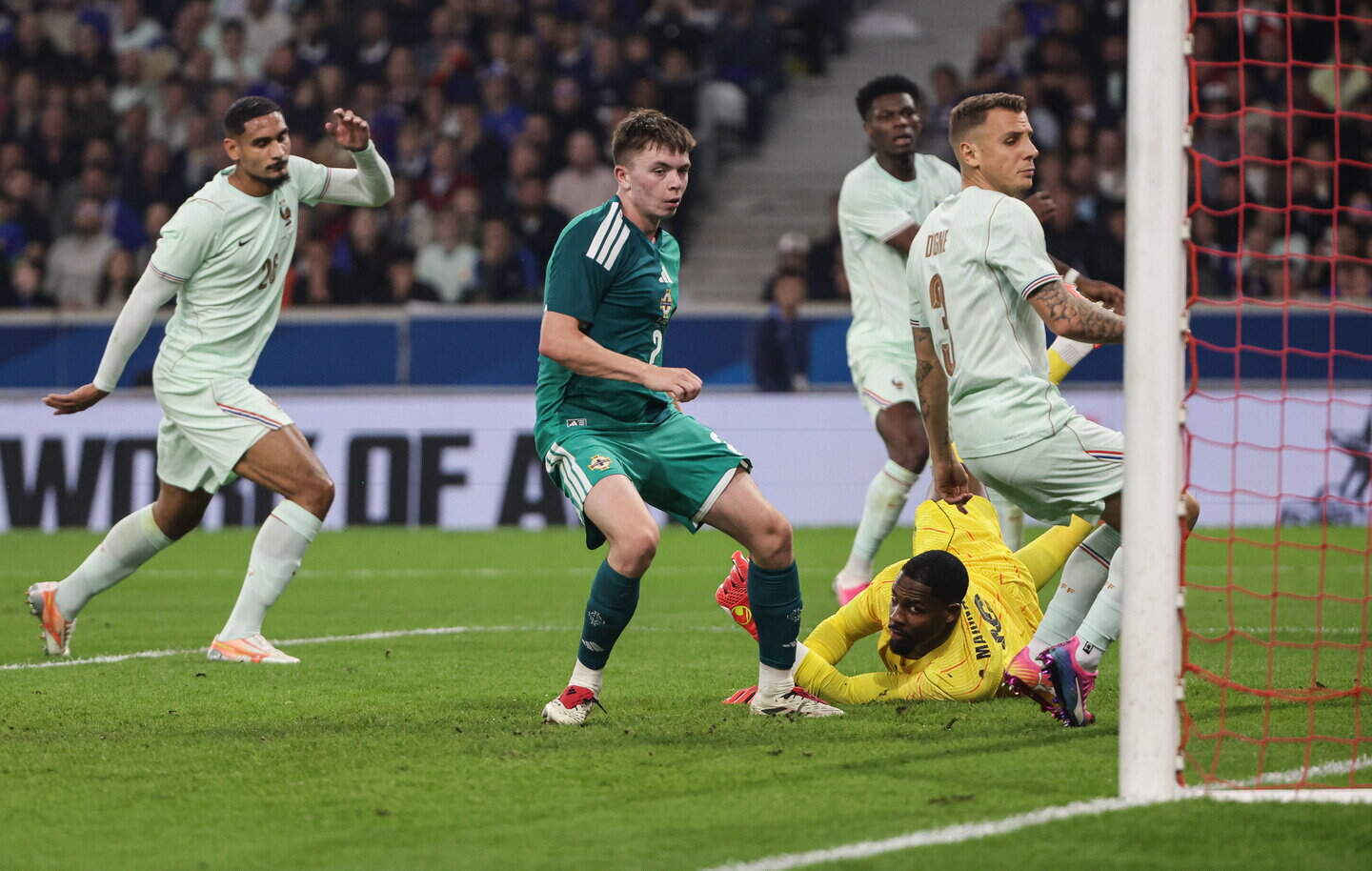 Patrick Kelly on Northern Ireland goal vs France: proud reaction and family  celebrations | Belfast Telegraph