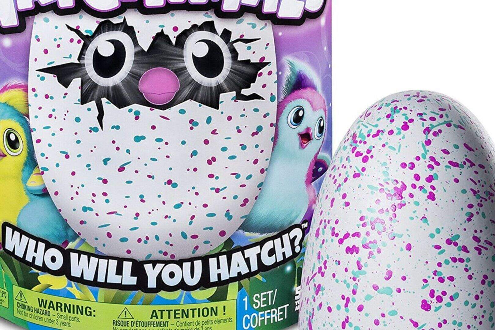 Parents shell out over the odds for hard-to-get Hatchimals | Belfast ...