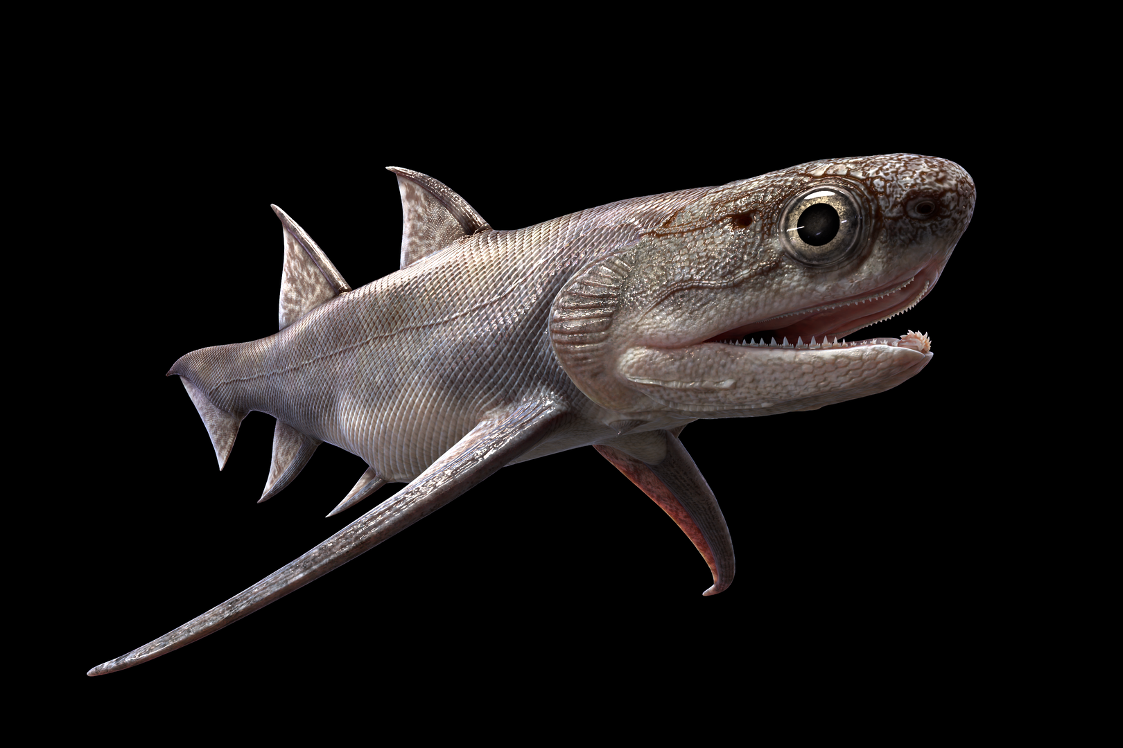 Ancient shark-like fish appeared much earlier than previously thought ...