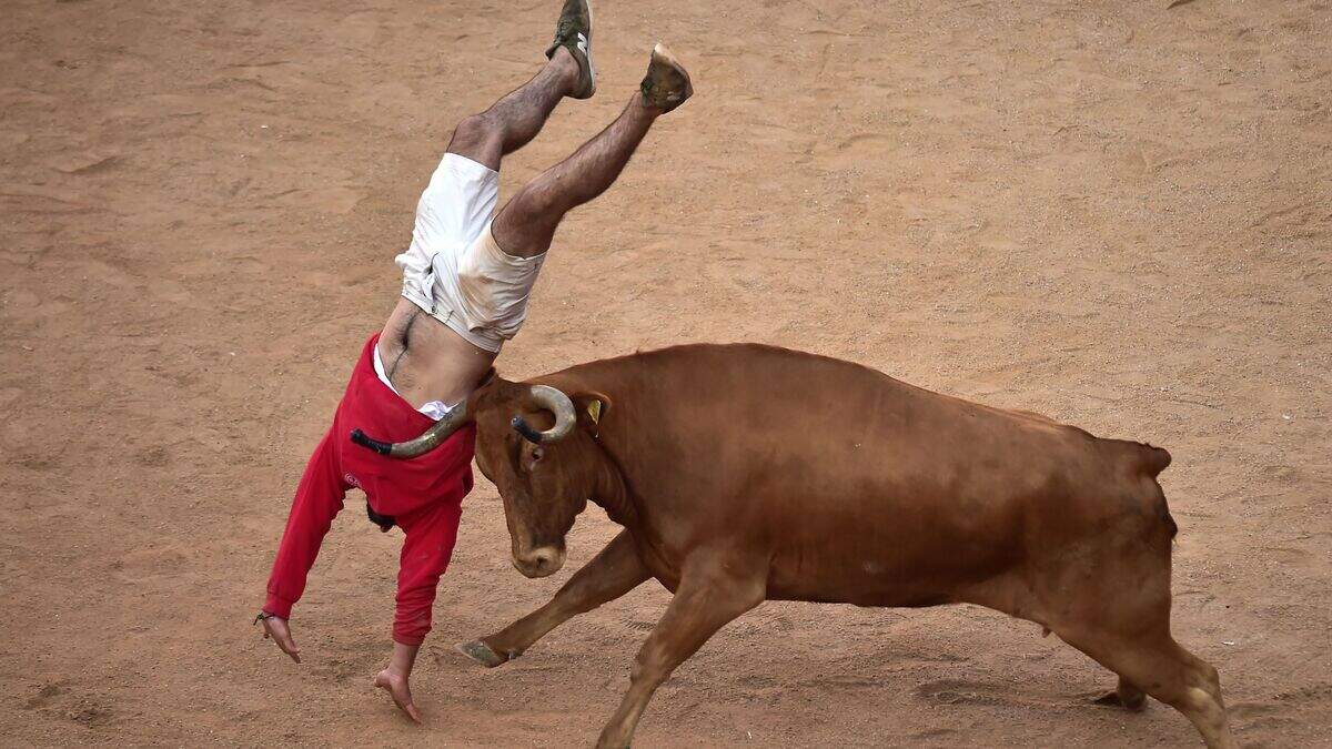In Pictures: More mayhem on day five of bull runs at Pamplona | Belfast ...