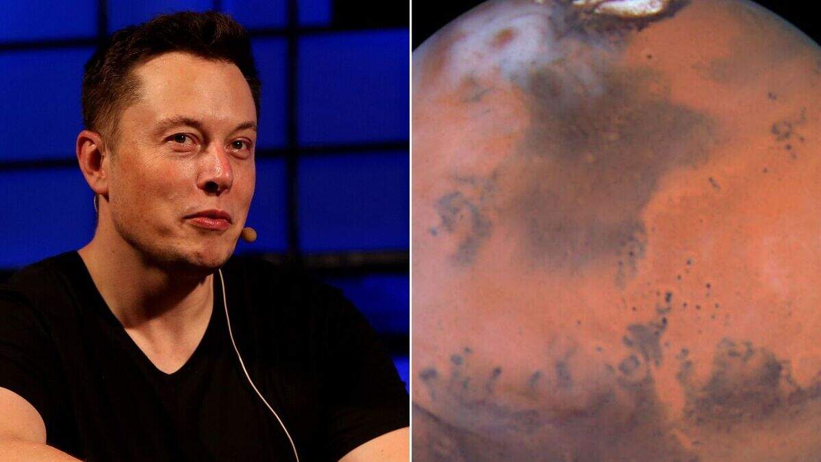 Elon Musk unveils spacecraft he says can go to Mars and return to Earth ...