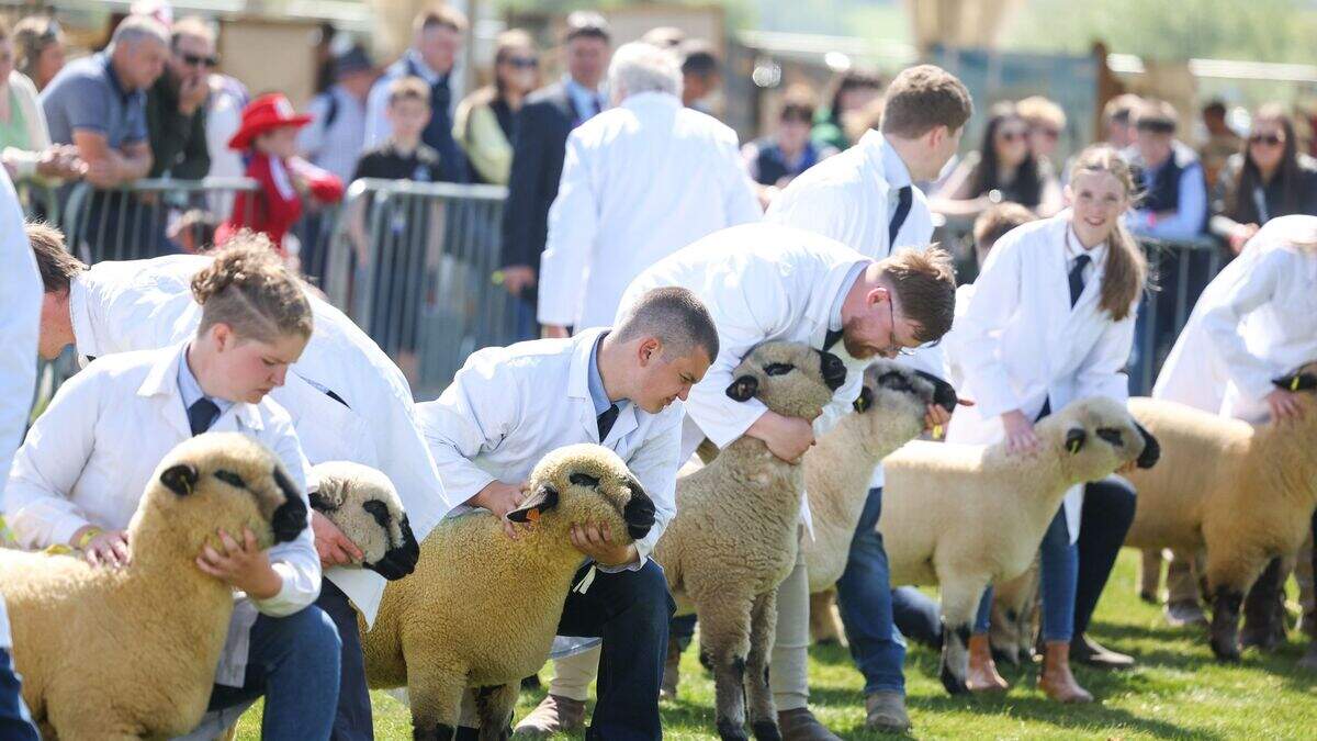 Dancing diggers and jumping sheep wow the crowds as thousands flock to ...
