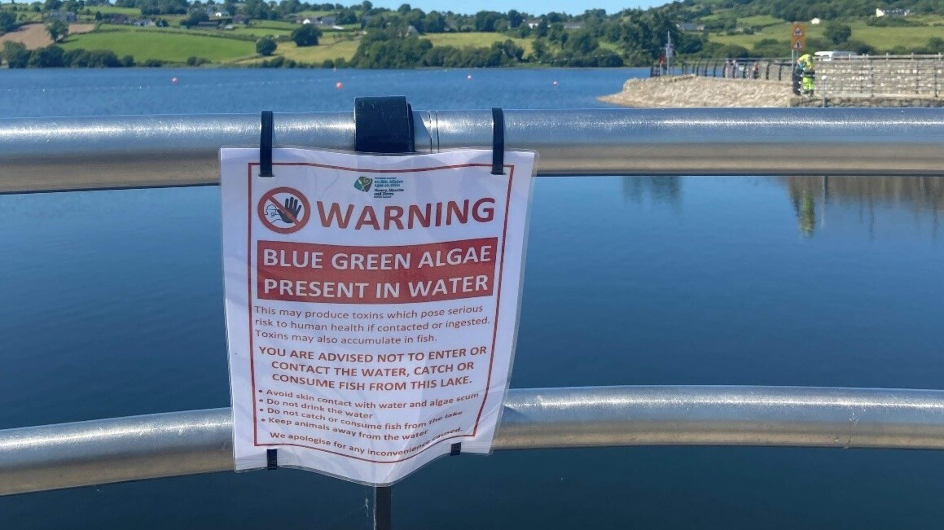 Concern as blue-green algae prohibits access to popular Camlough Lake for second consecutive summer