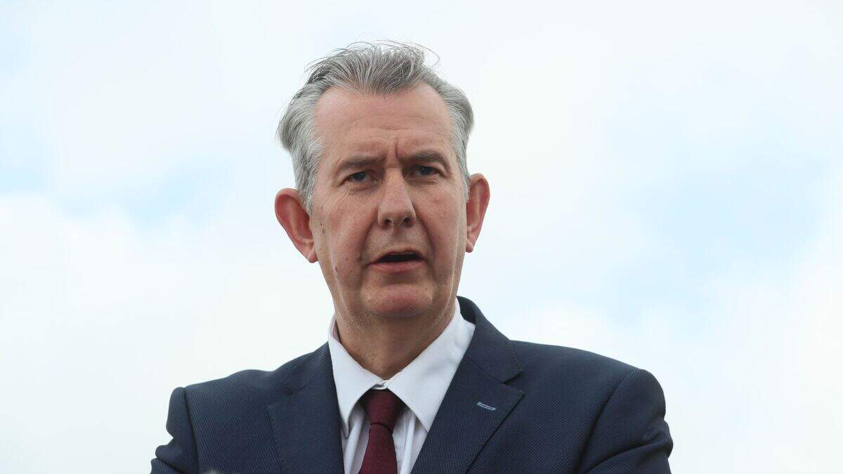 Edwin Poots’ EU comments lack ‘adherence to reality’, says ambassador ...