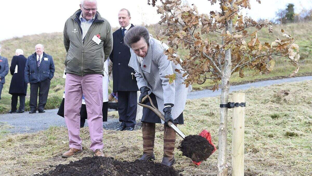 Princess Anne visits Londonderry wood created to mark 100th anniversary ...