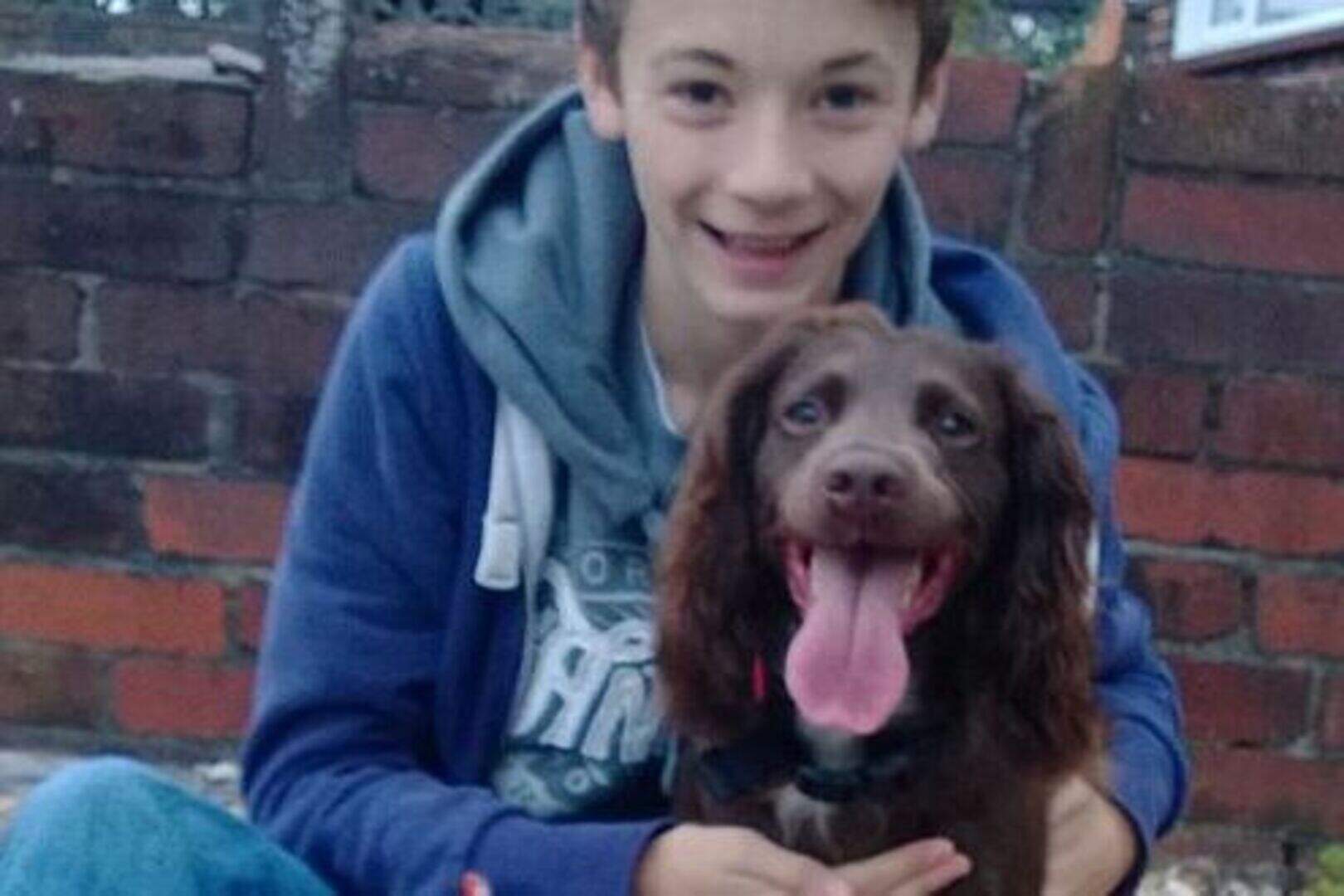 Spaniel weight gain mystery solved | Belfast Telegraph