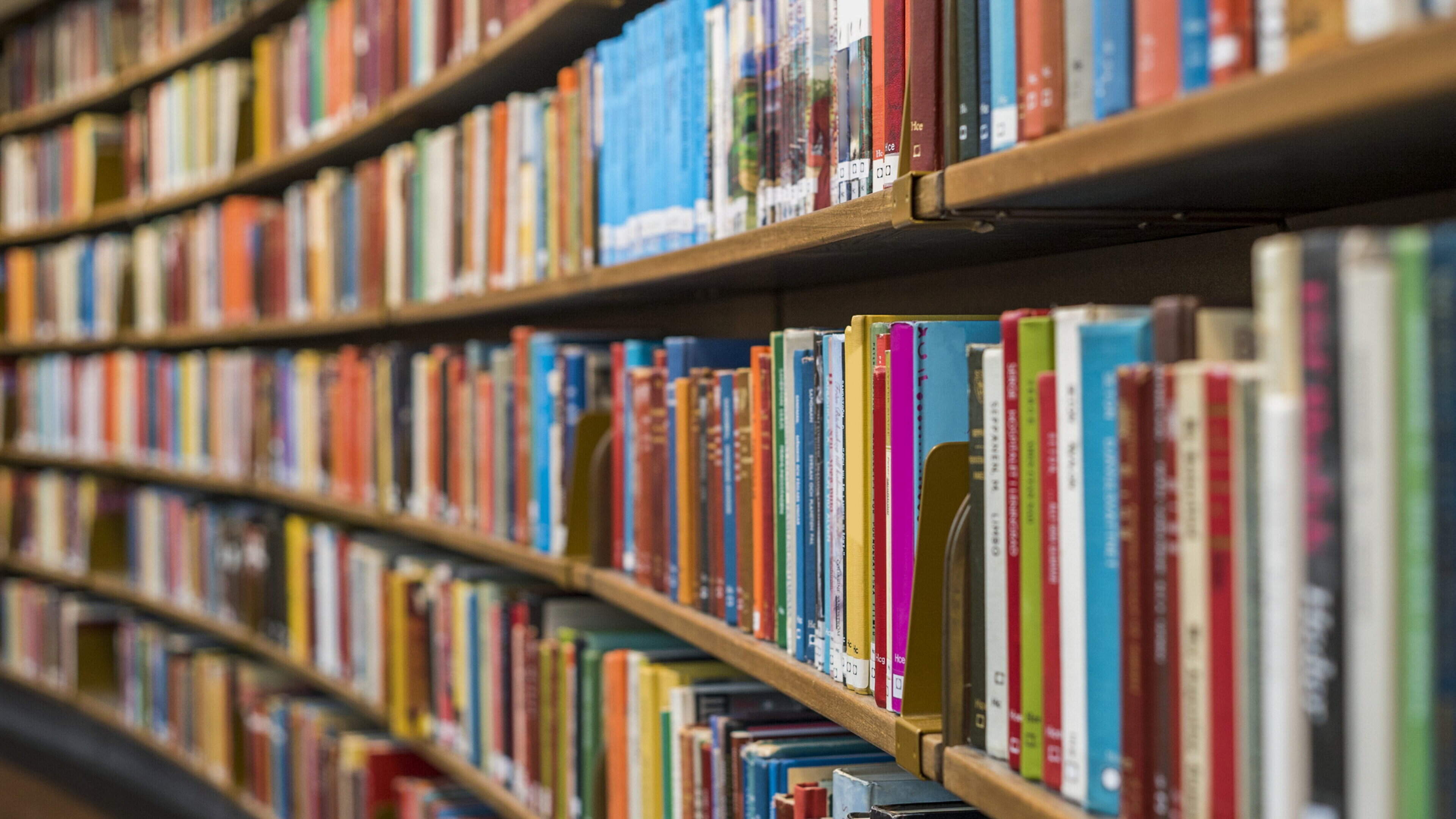 Superb summer reads — from a Gothic boarding school tale to interrogation on the Med