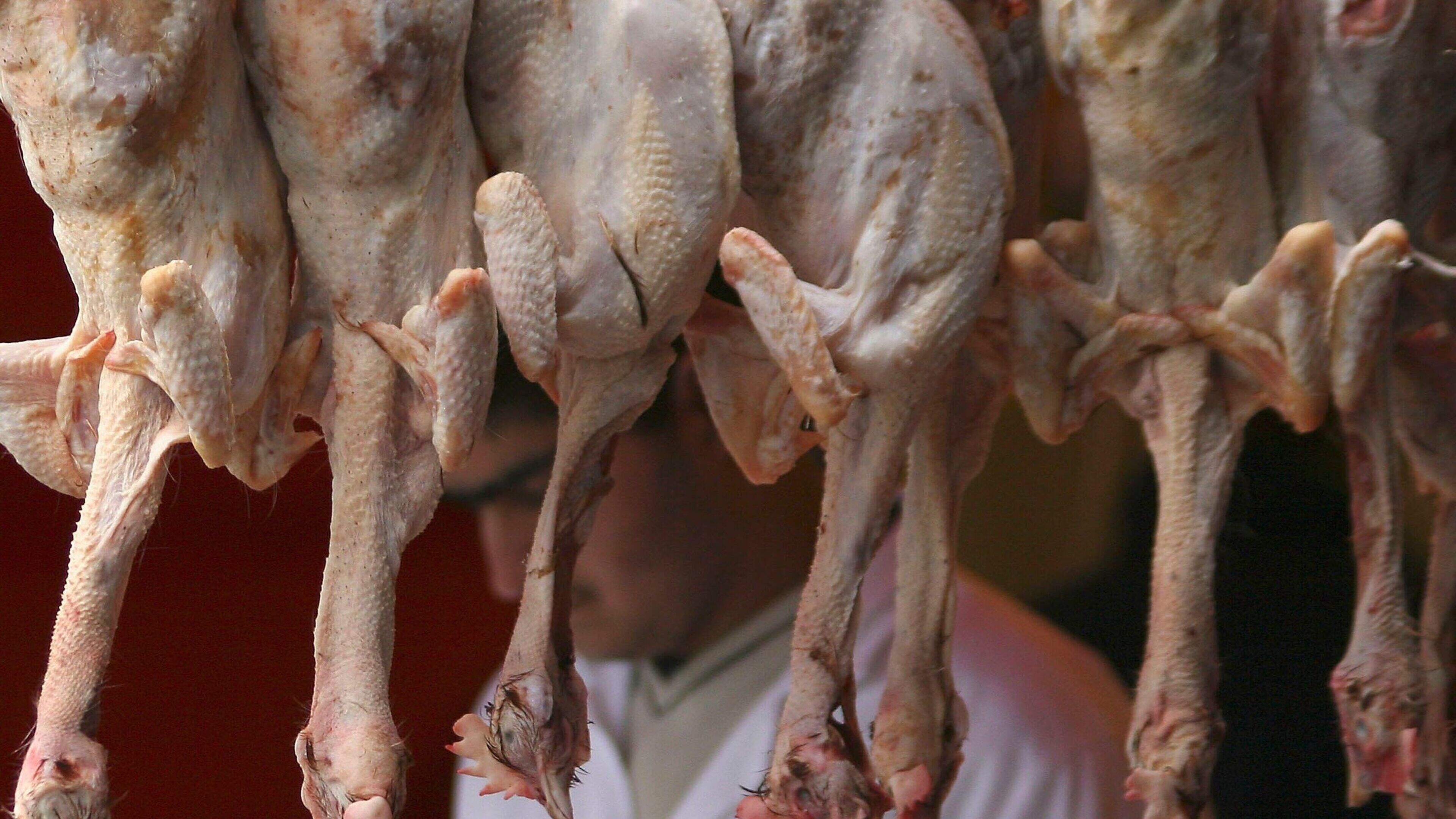 ‘Halal only meals’ misinformation on social media targeting Belfast school canteen slammed