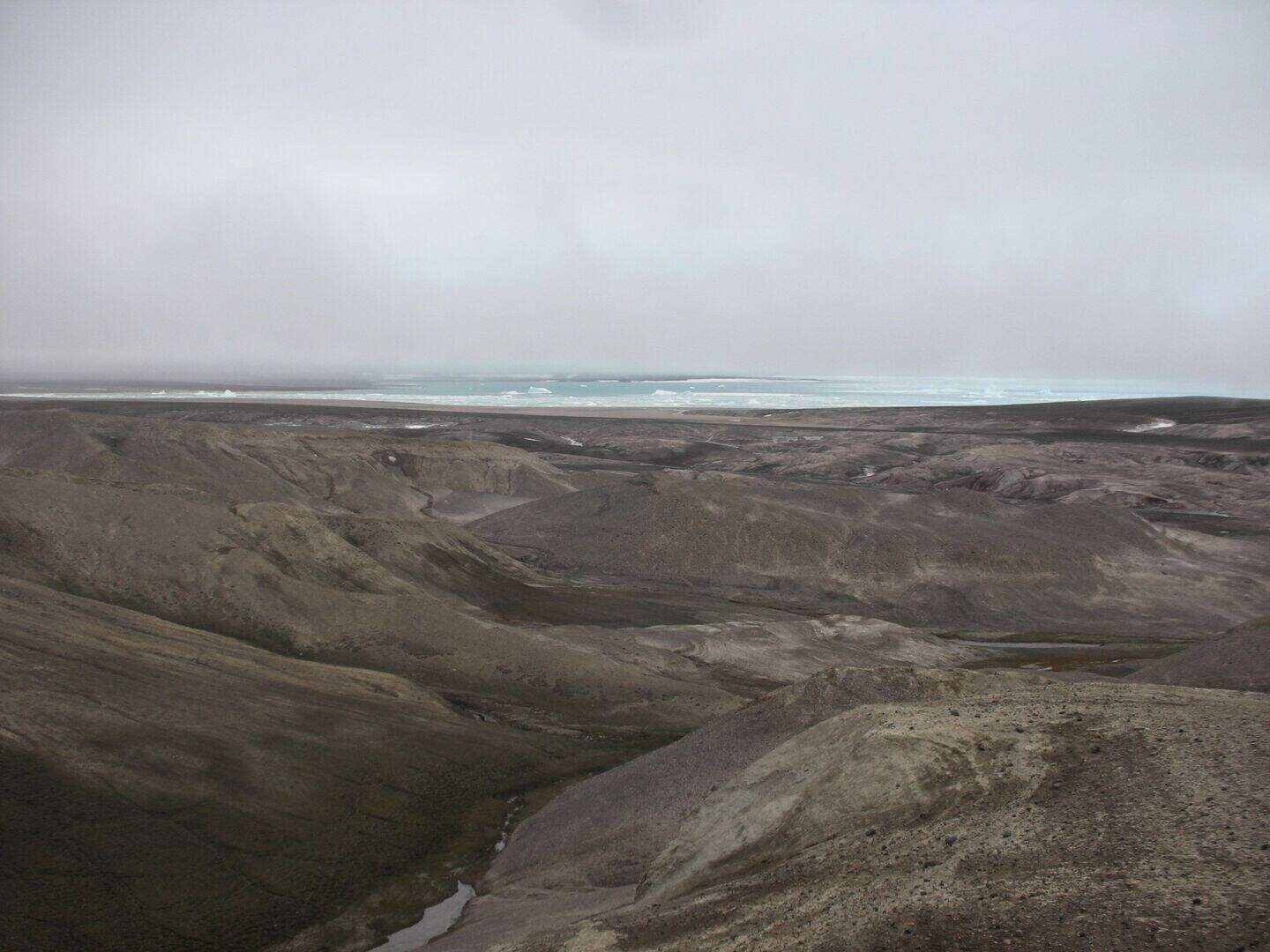 Discovery of world’s oldest DNA breaks record by one million years ...