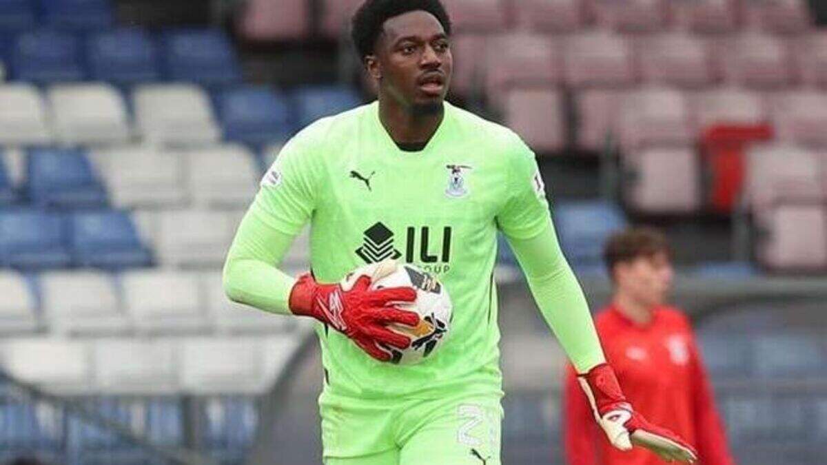 Irish League: Crusaders' Declan Caddell tips Gambia international Musa ...