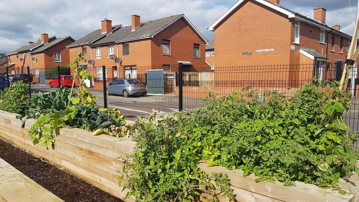 Social housing in Northern Ireland is under pressure, but not beyond ...