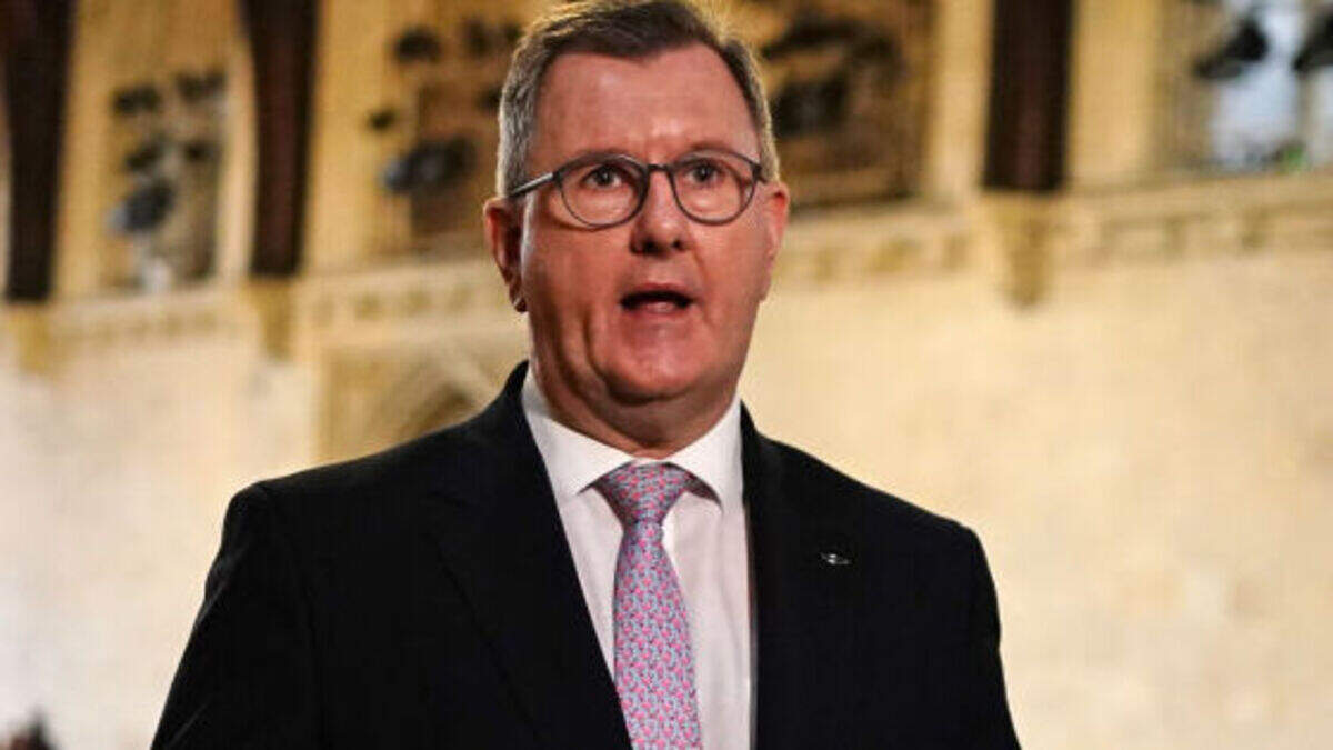 Jeffrey Donaldson ‘gifted' himself a birthday rape at Westminster office, alleged victim claims