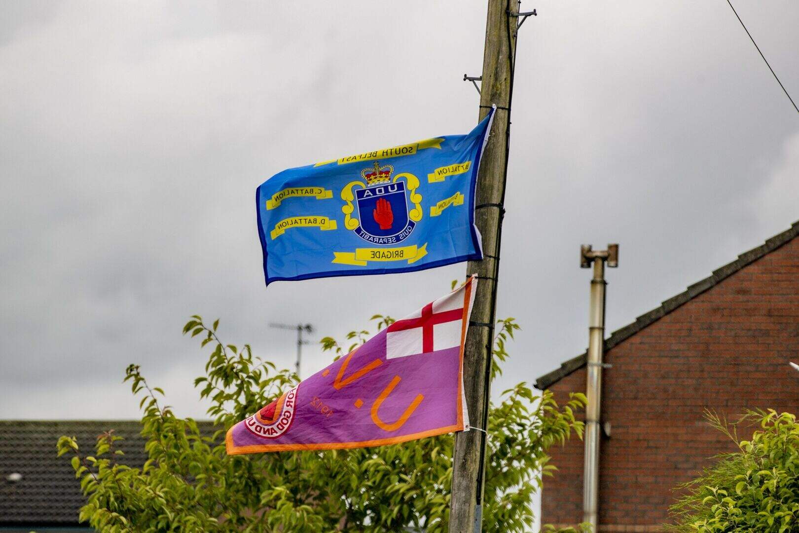UDA flags put up in Lurgan estate where victim of sectarian abuse had ...