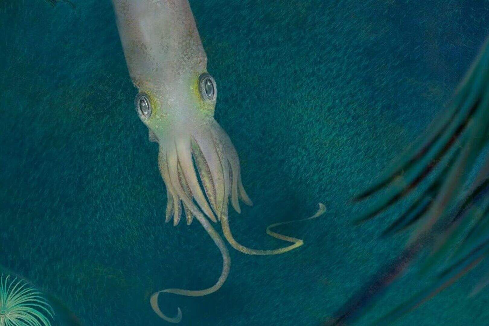 Octopus ancestor is the first of its kind with 10 functional arms ...