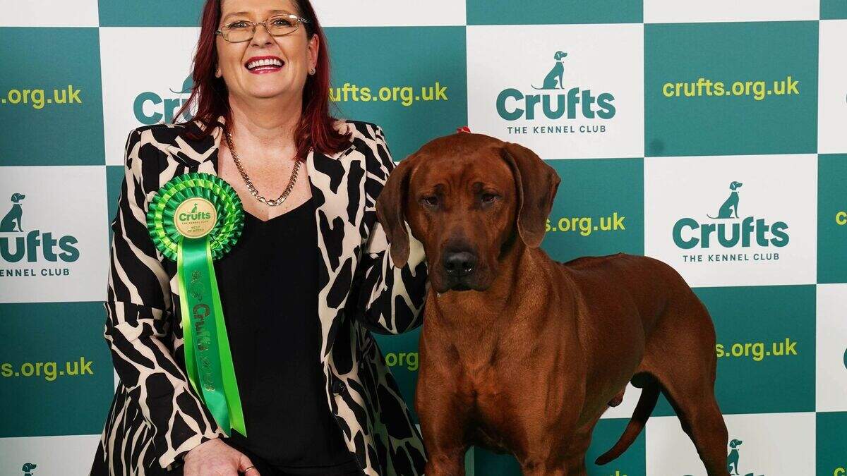 Crufts: Northern Ireland Rhodesian Ridgeback dog Khan wins Best in ...