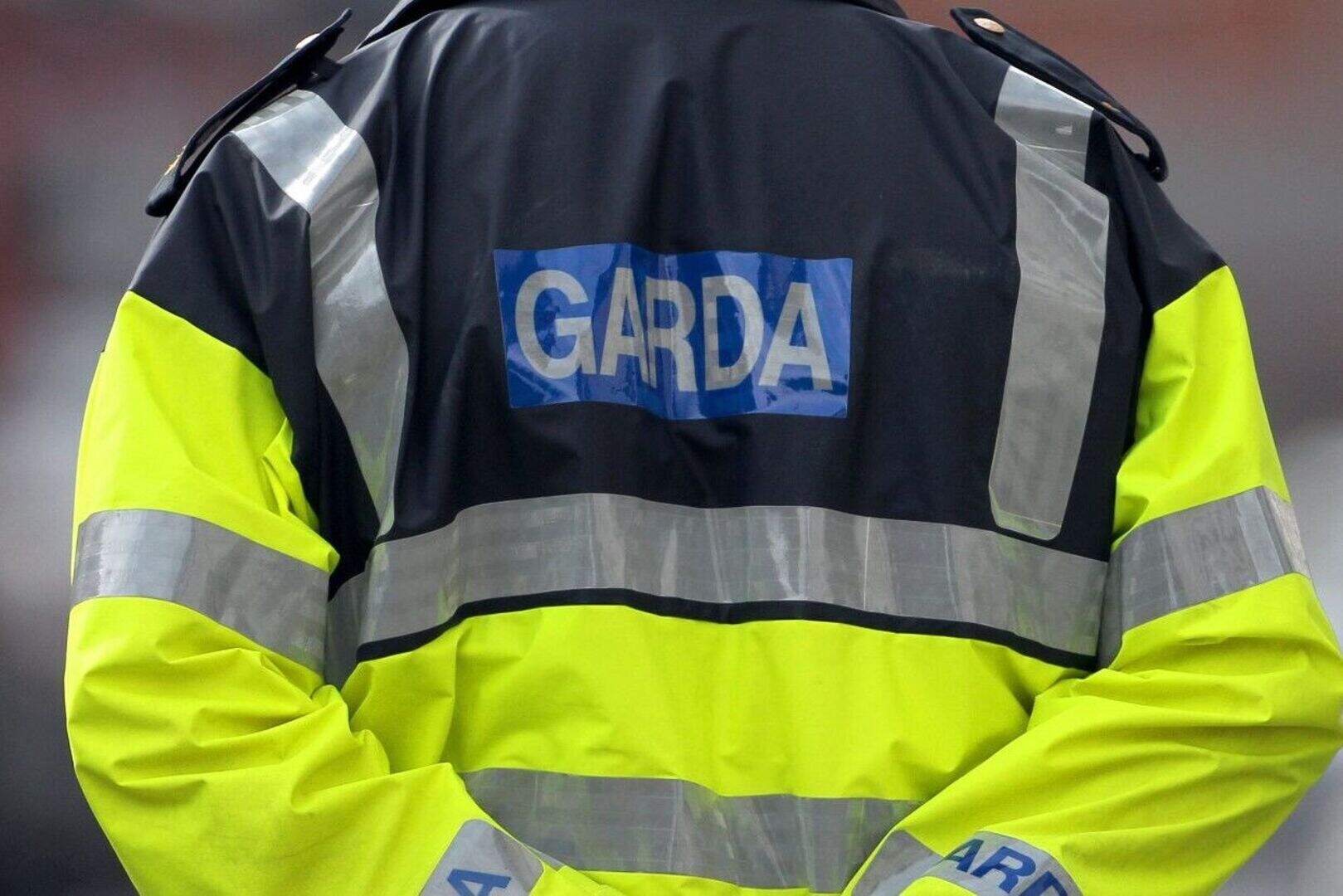 Guns seized in gangs crackdown | Belfast Telegraph