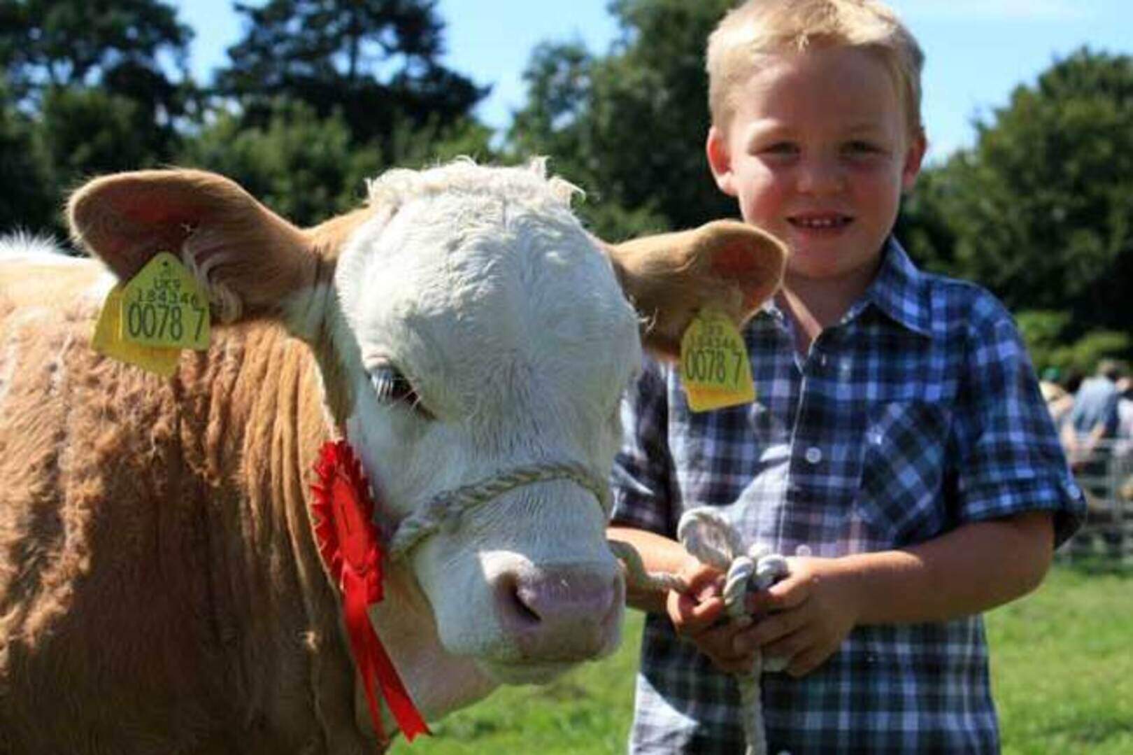 Antrim Show: pictures and results | Belfast Telegraph